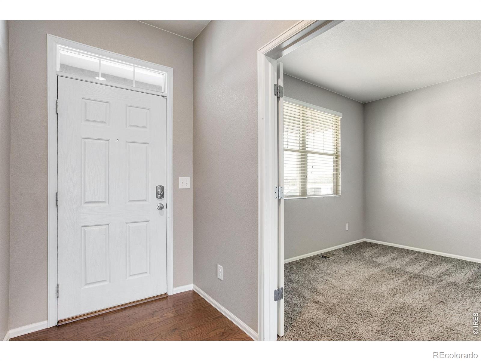 MLS Image #21 for 912  charlton drive,windsor, Colorado