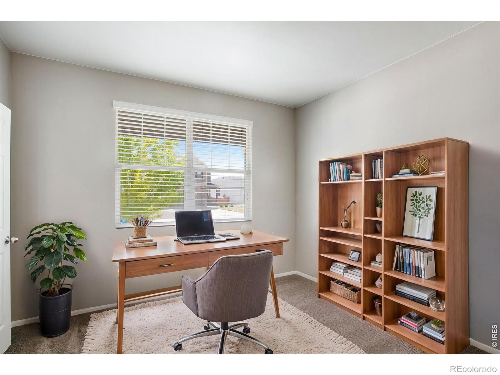 MLS Image #22 for 912  charlton drive,windsor, Colorado