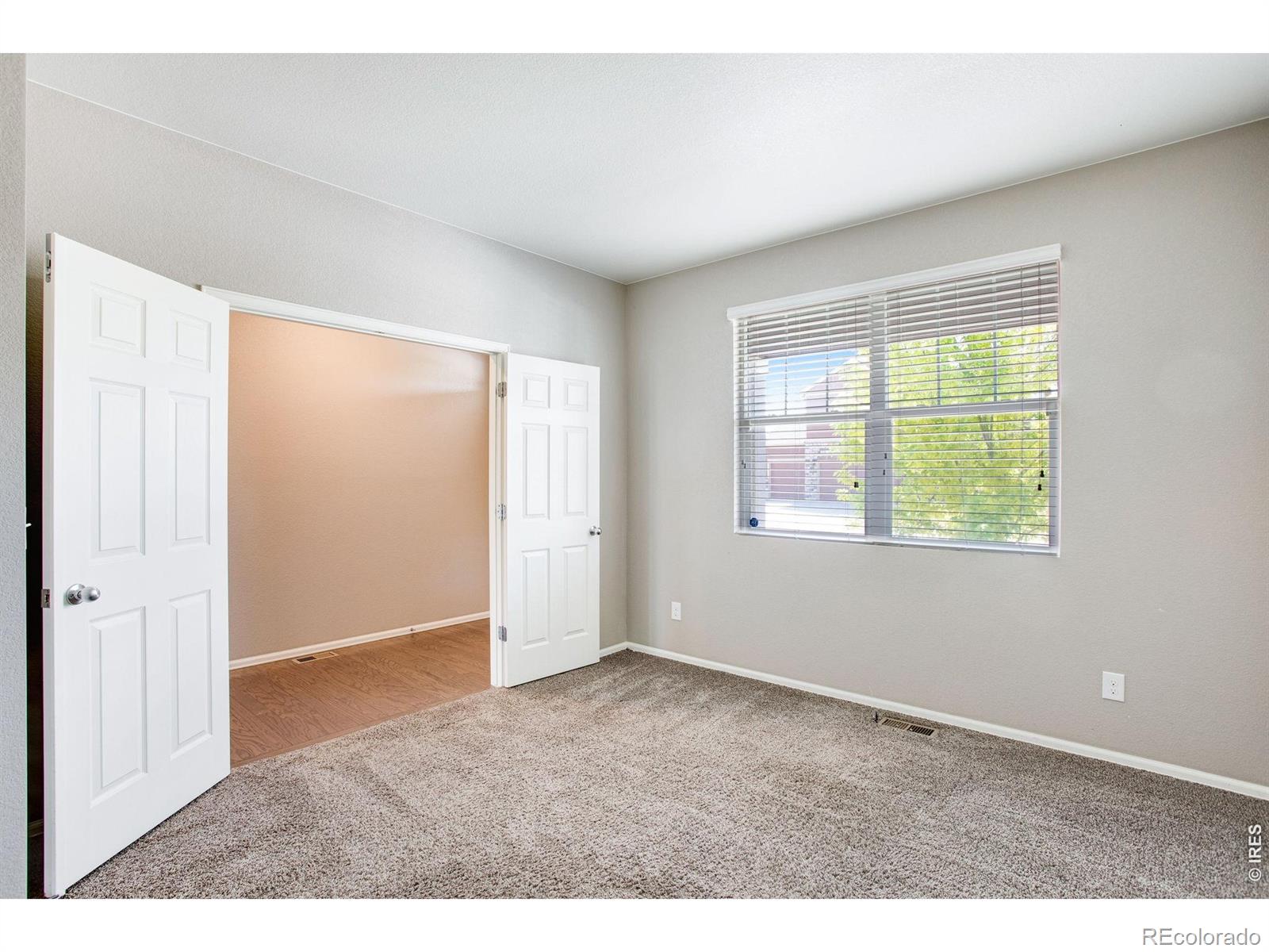 MLS Image #24 for 912  charlton drive,windsor, Colorado