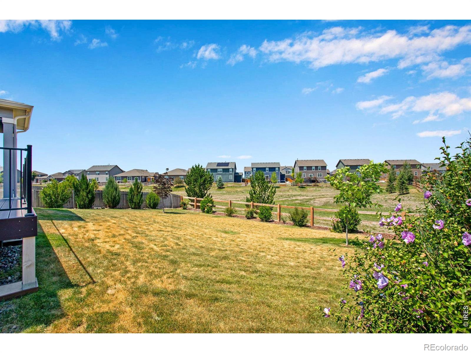 MLS Image #43 for 912  charlton drive,windsor, Colorado