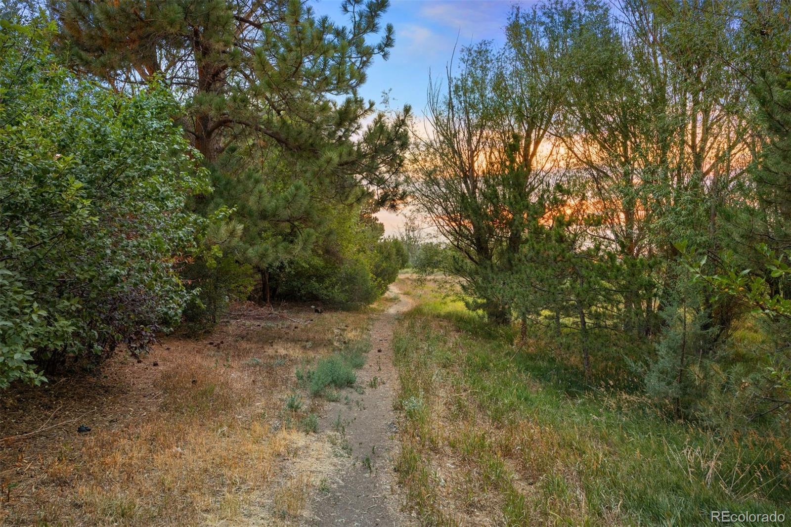 MLS Image #36 for 3254 s espana circle,aurora, Colorado