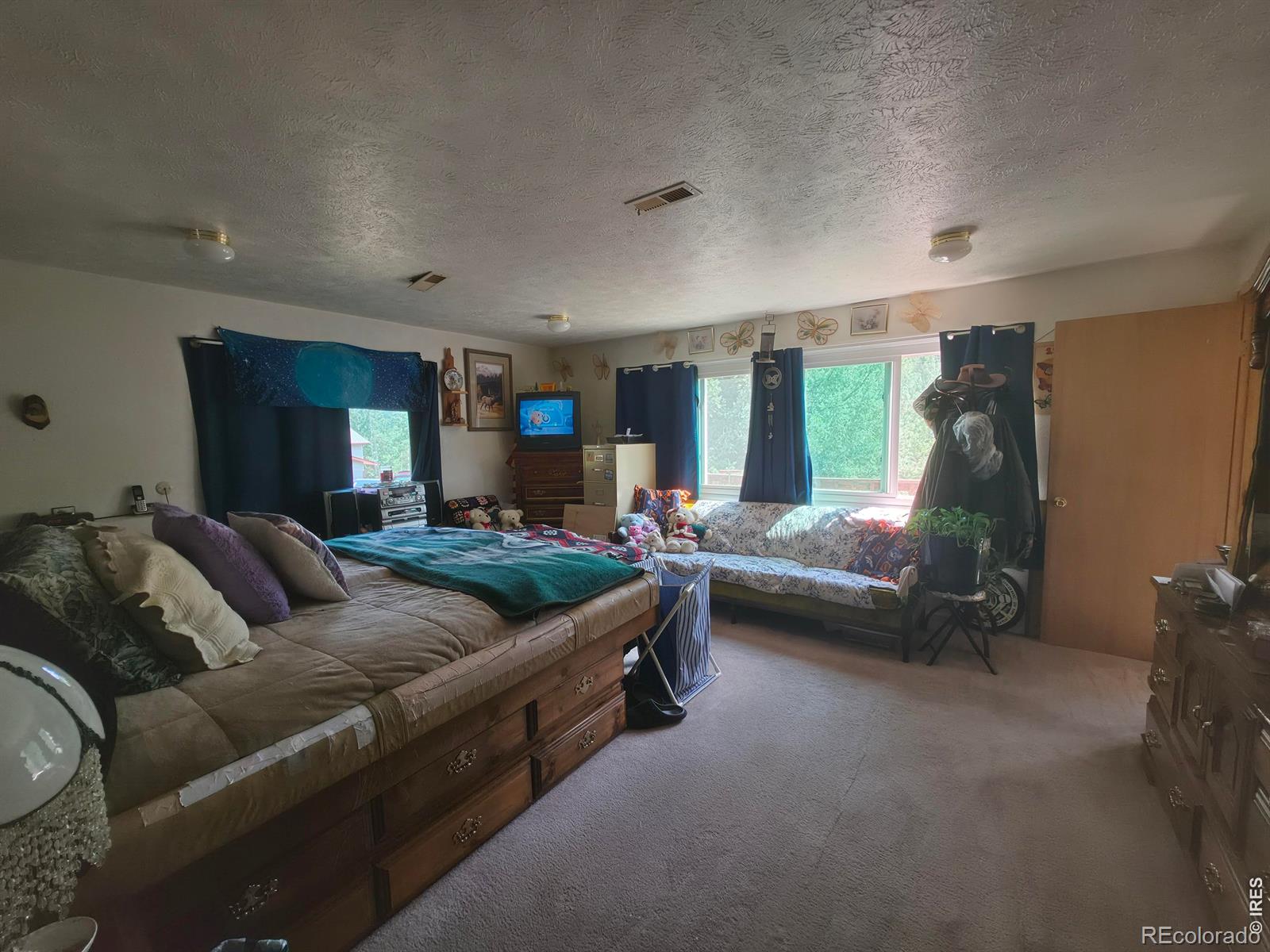 MLS Image #10 for 135  brookside drive,bailey, Colorado