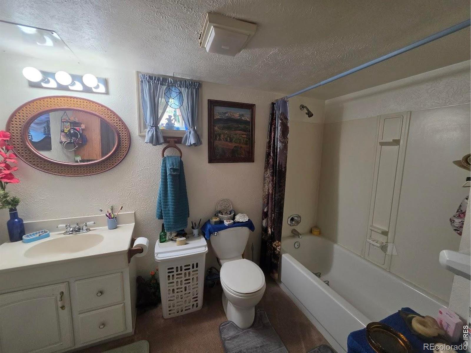 MLS Image #12 for 135  brookside drive,bailey, Colorado
