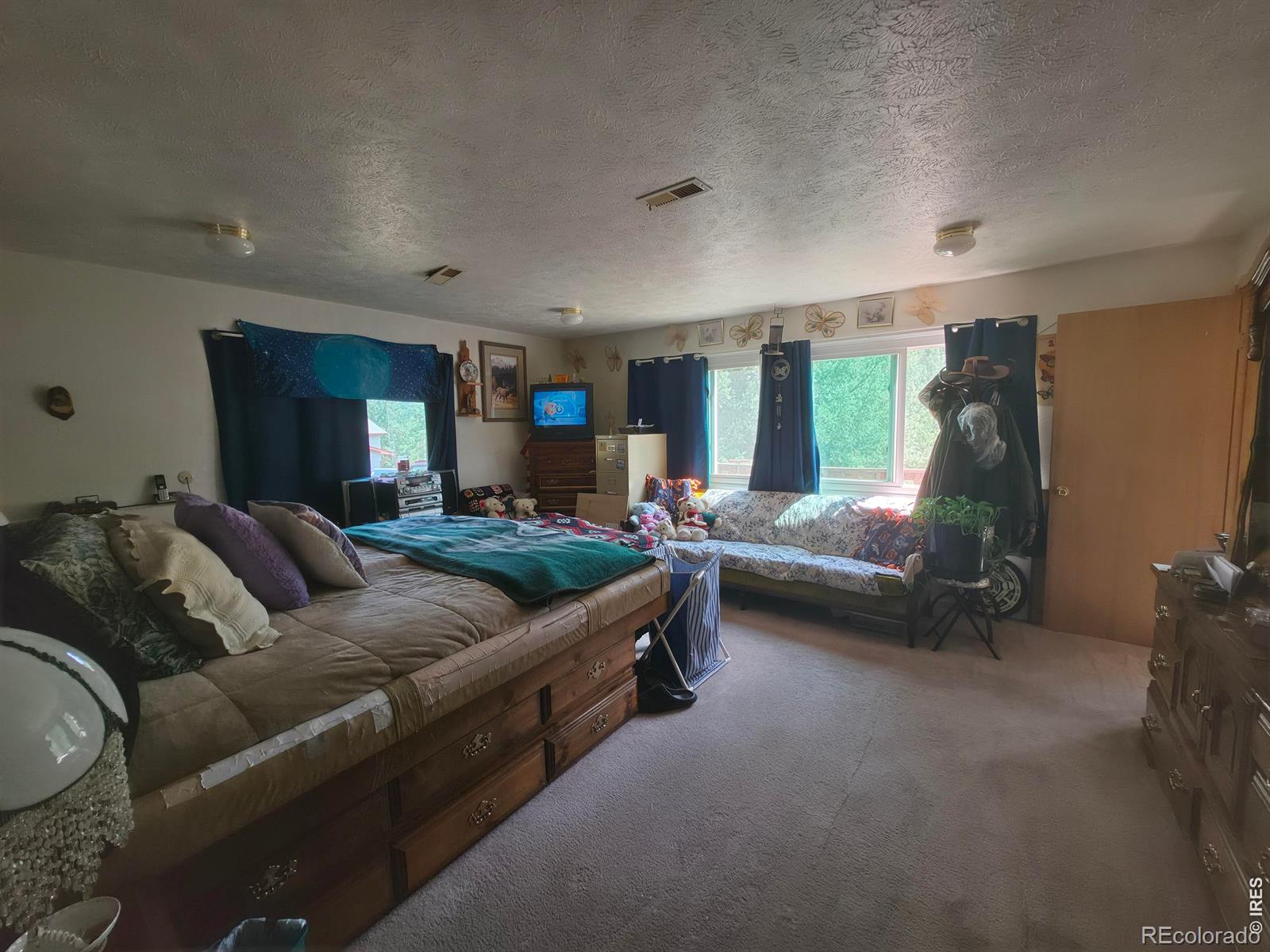 MLS Image #14 for 135  brookside drive,bailey, Colorado