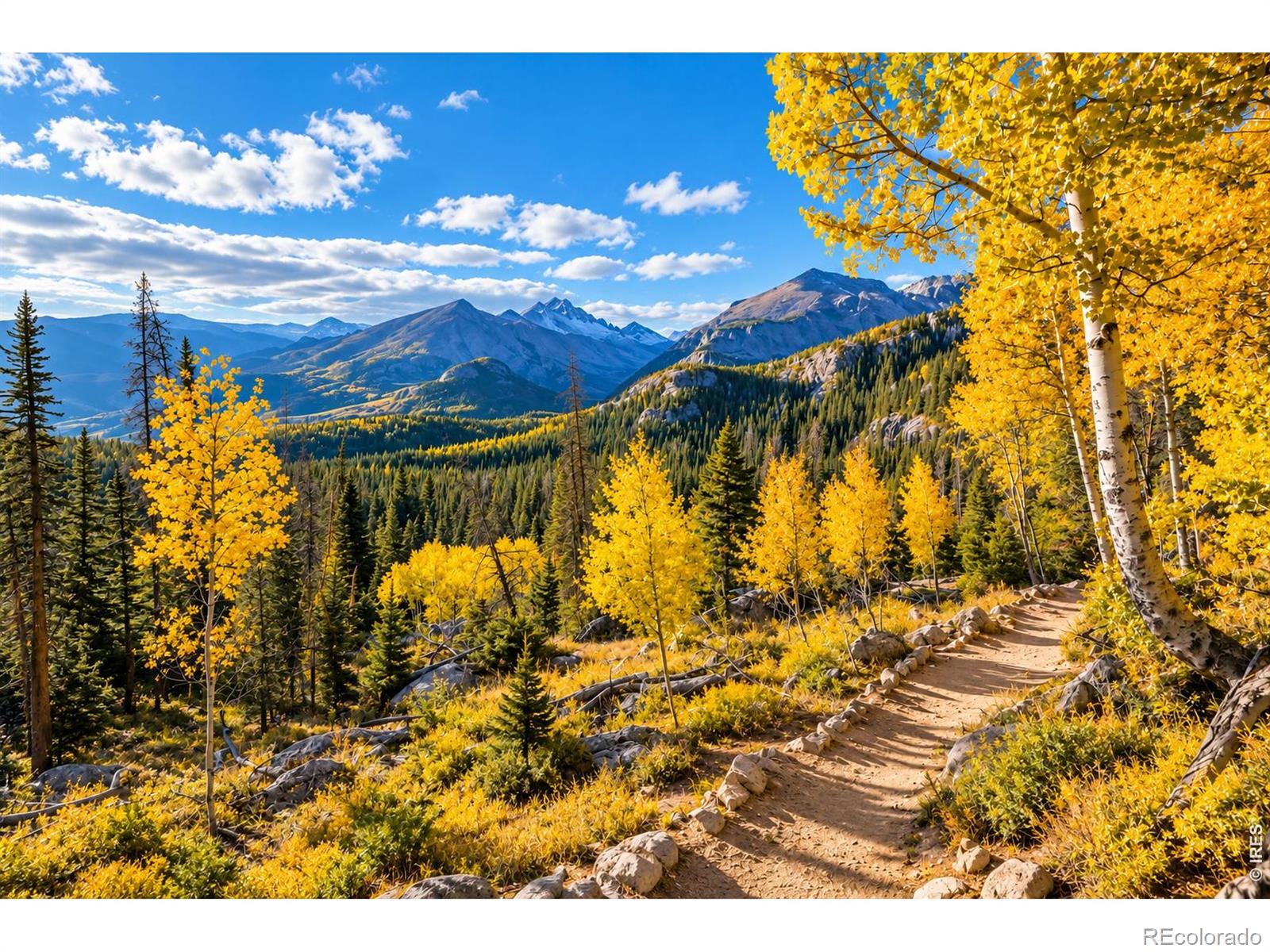 MLS Image #16 for 135  brookside drive,bailey, Colorado