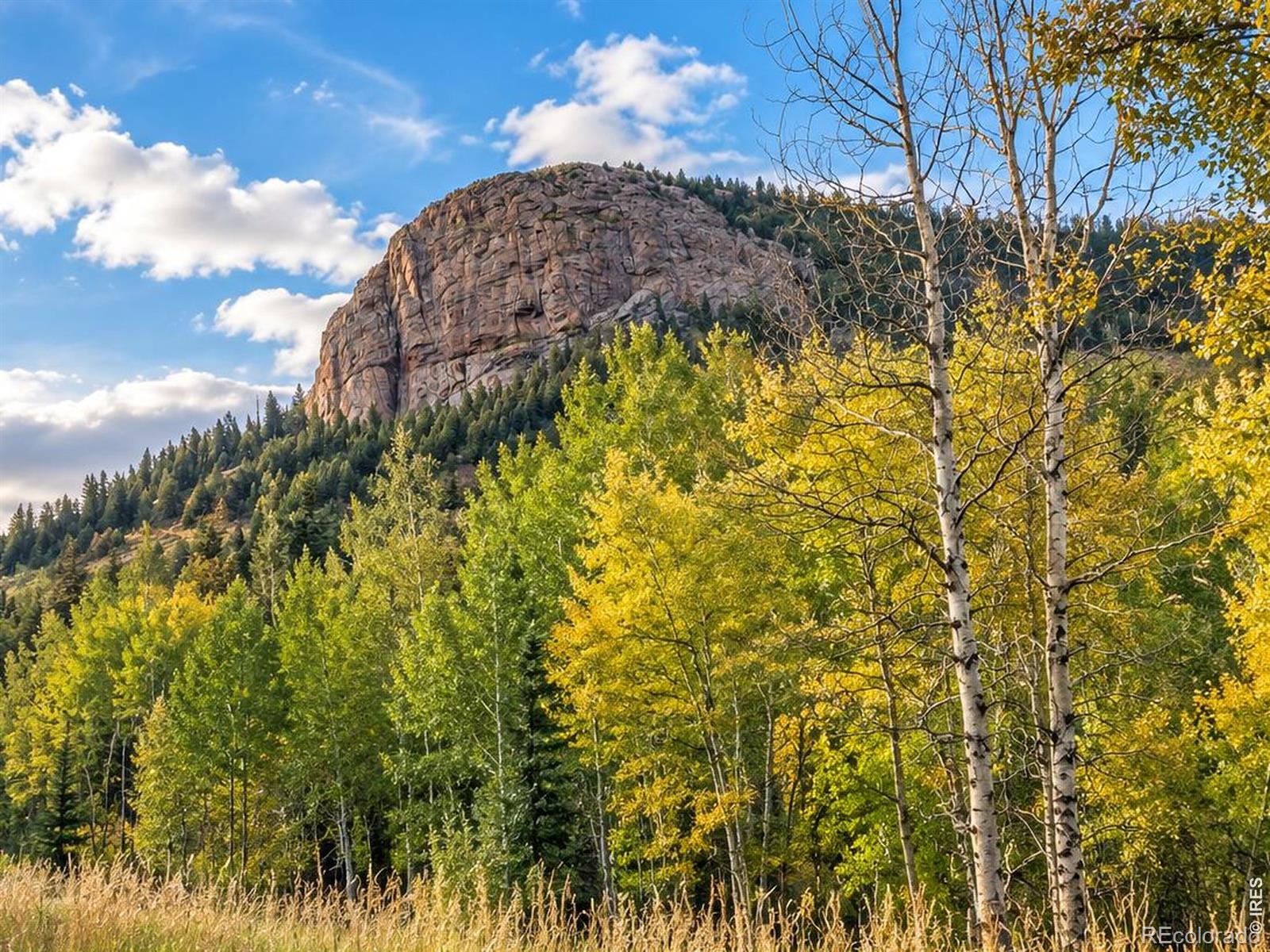 MLS Image #17 for 135  brookside drive,bailey, Colorado