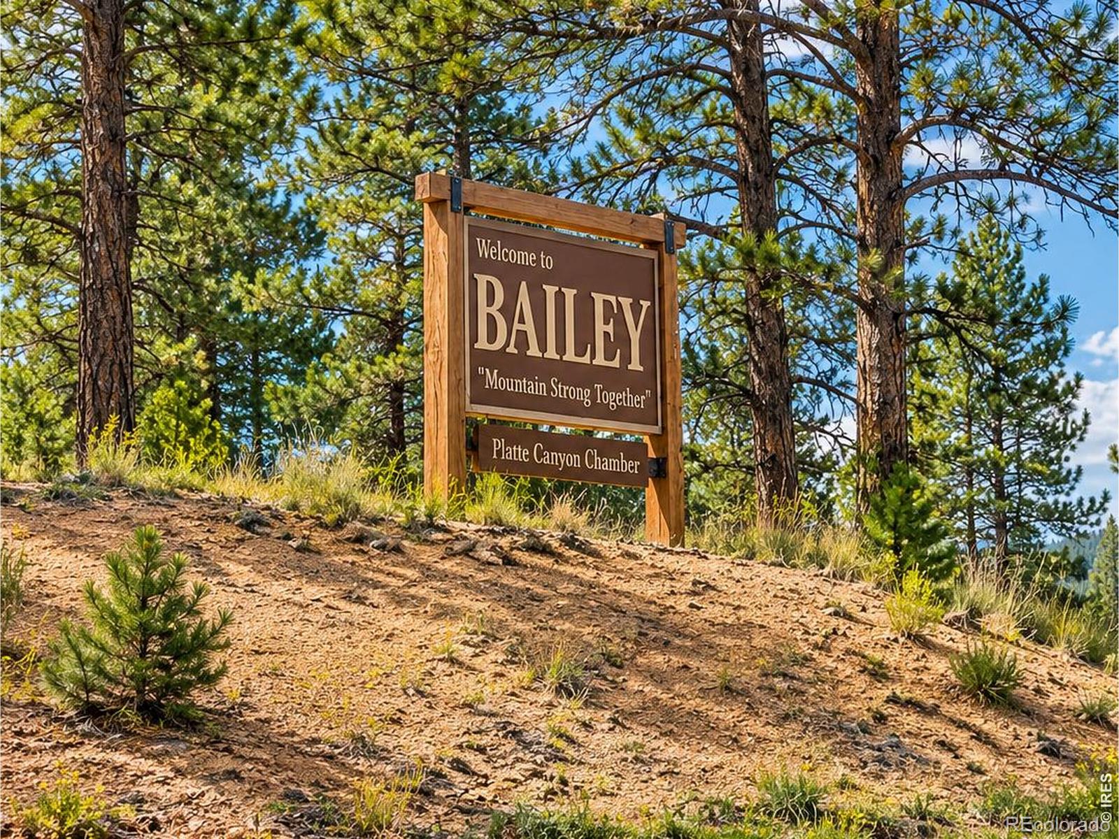 MLS Image #18 for 135  brookside drive,bailey, Colorado