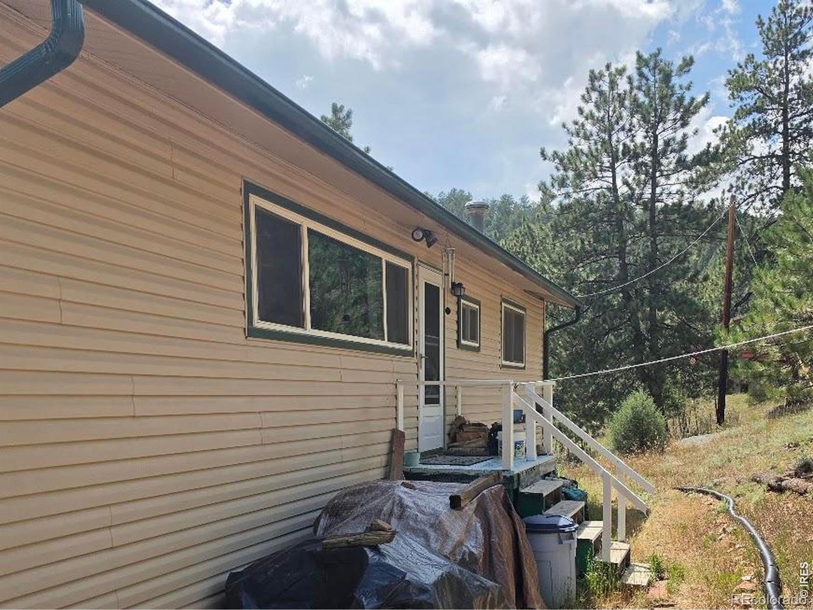 MLS Image #19 for 135  brookside drive,bailey, Colorado