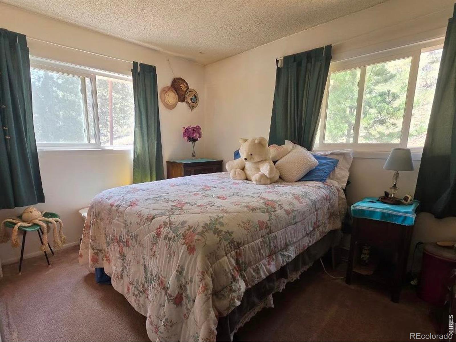 MLS Image #2 for 135  brookside drive,bailey, Colorado