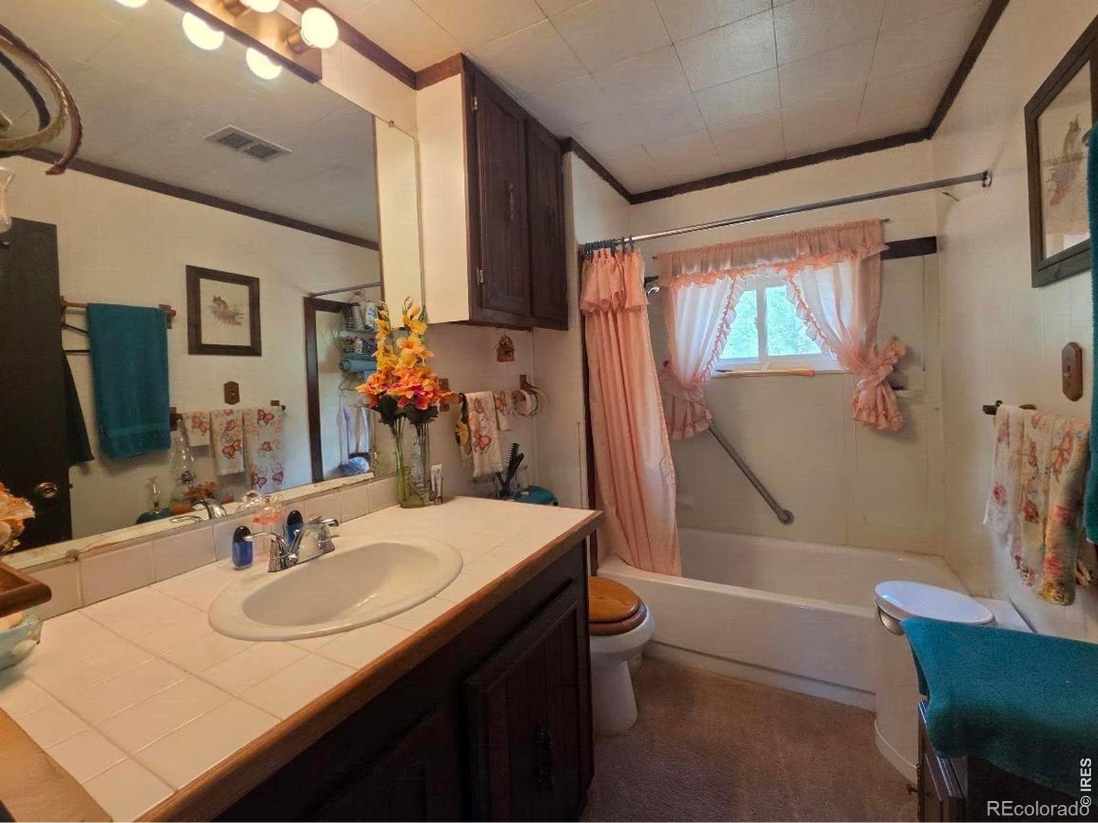 MLS Image #3 for 135  brookside drive,bailey, Colorado