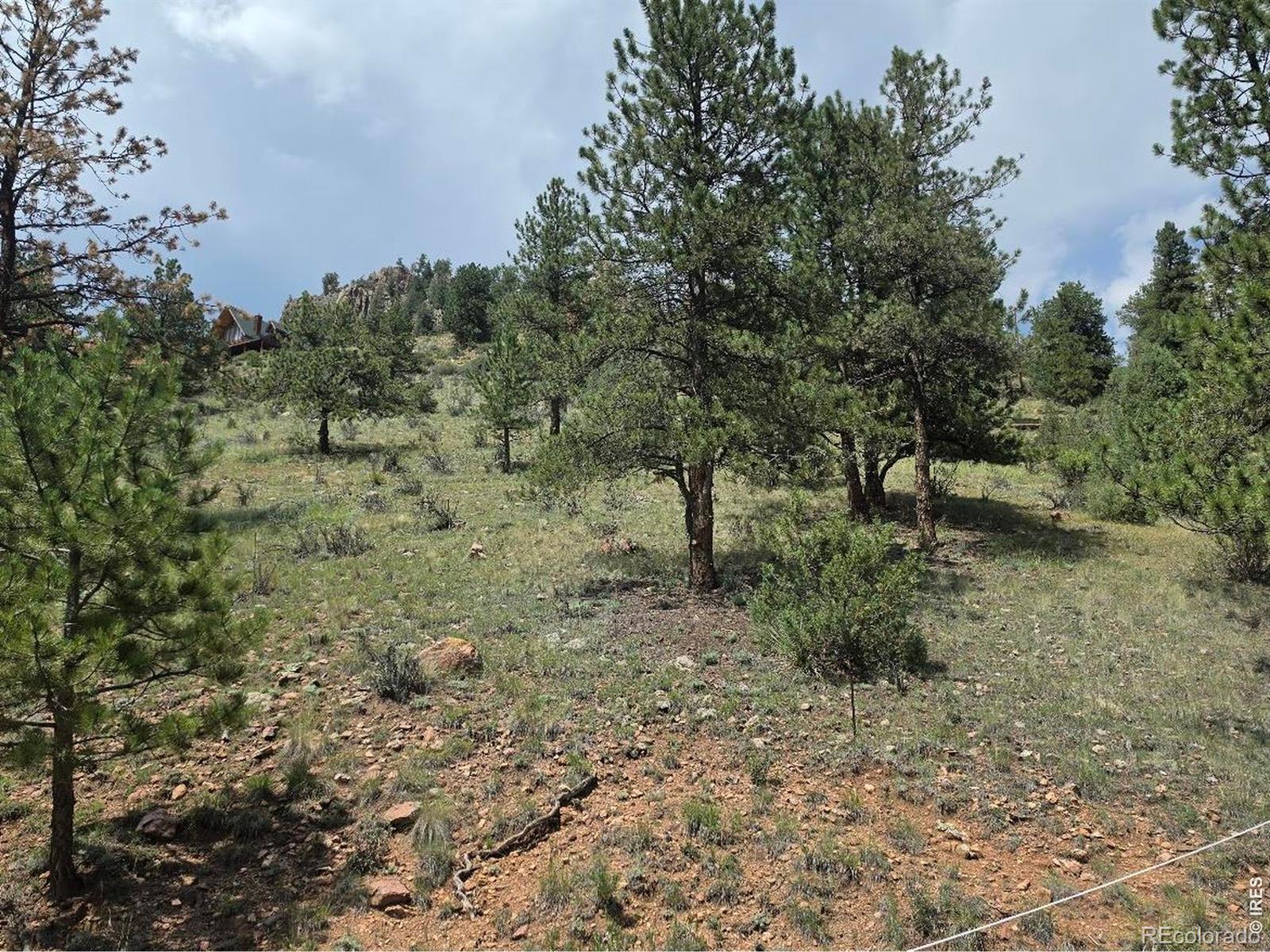 MLS Image #6 for 135  brookside drive,bailey, Colorado