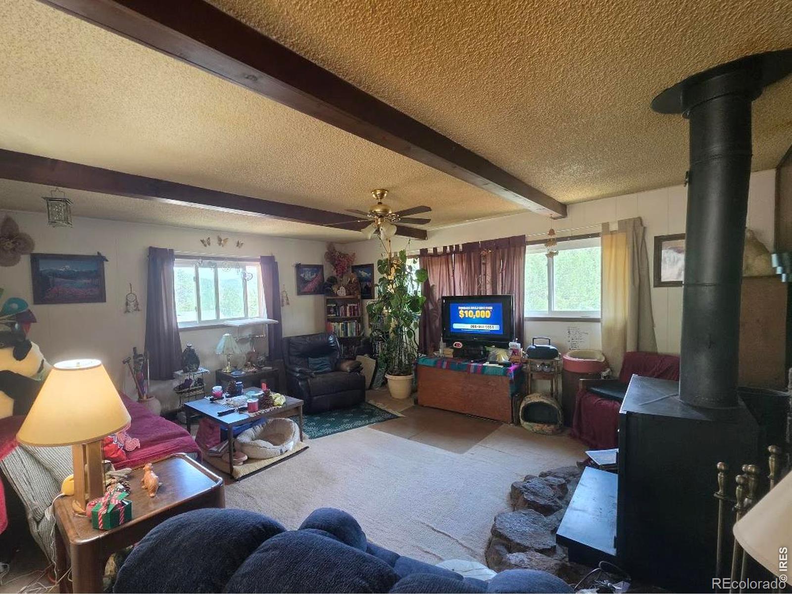 MLS Image #9 for 135  brookside drive,bailey, Colorado