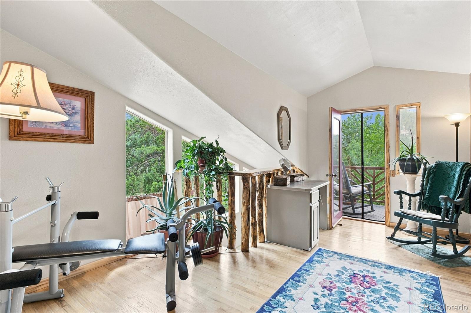 MLS Image #18 for 9228  black mountain drive,conifer, Colorado