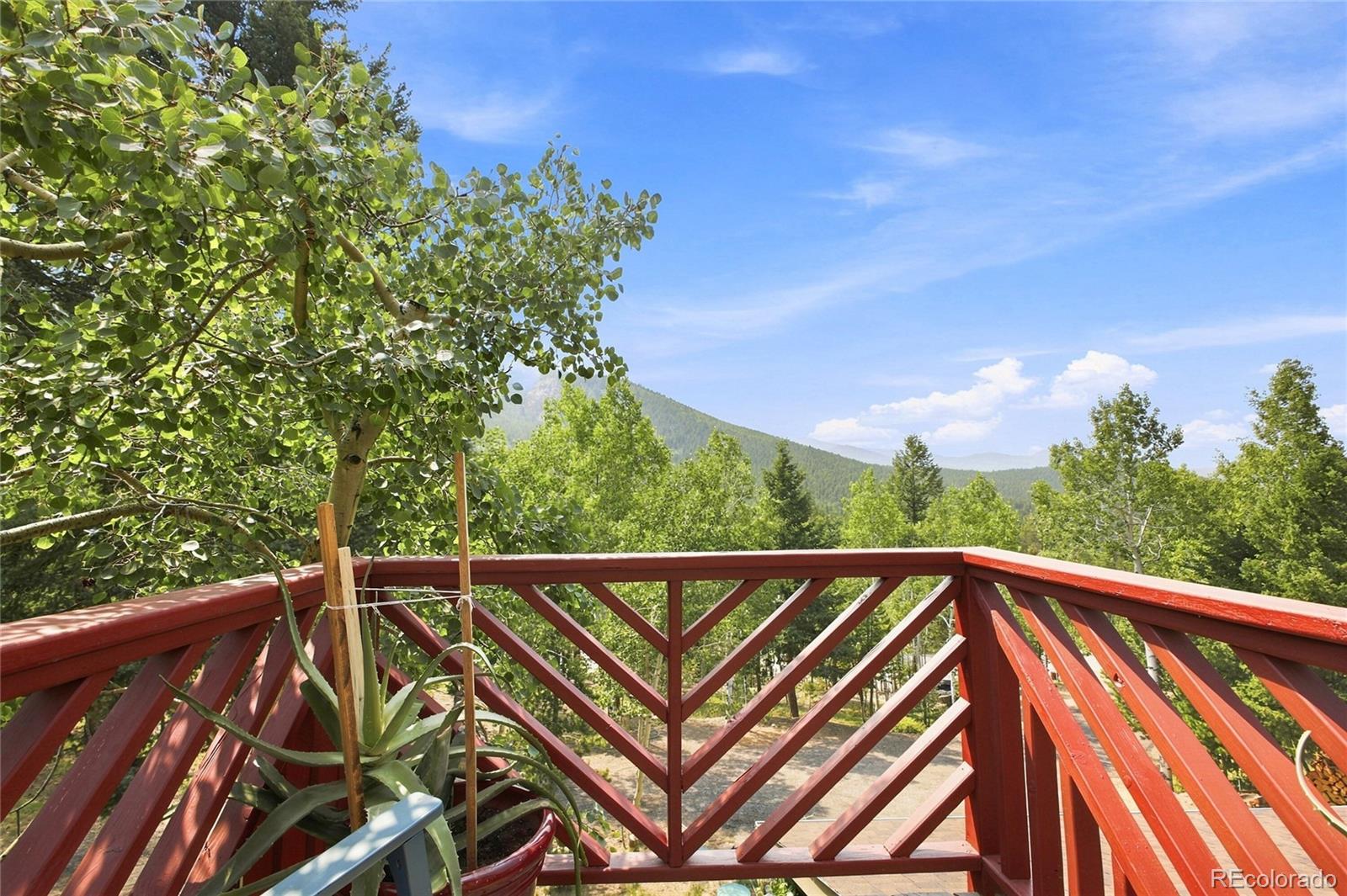 MLS Image #19 for 9228  black mountain drive,conifer, Colorado