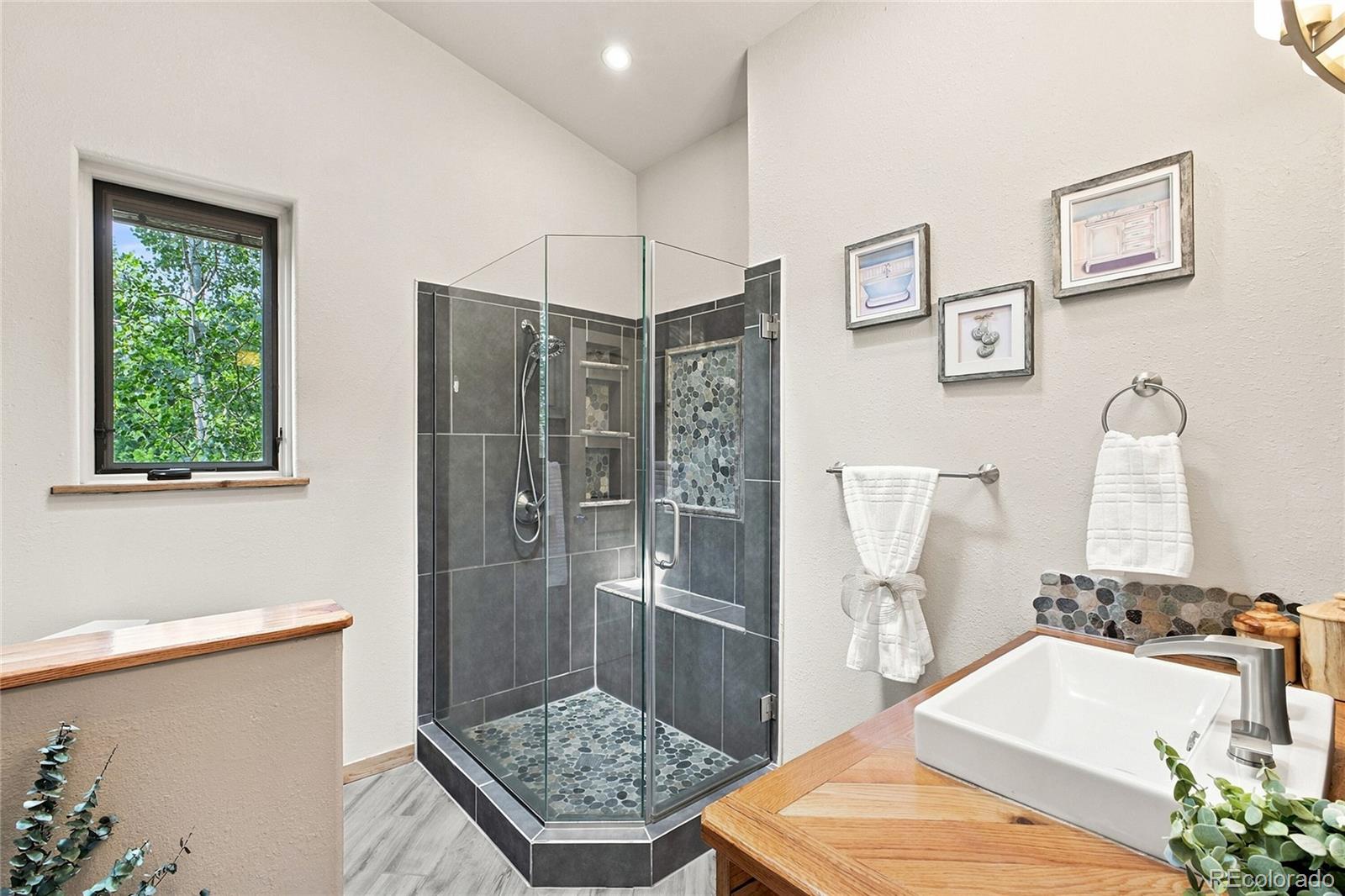 MLS Image #20 for 9228  black mountain drive,conifer, Colorado