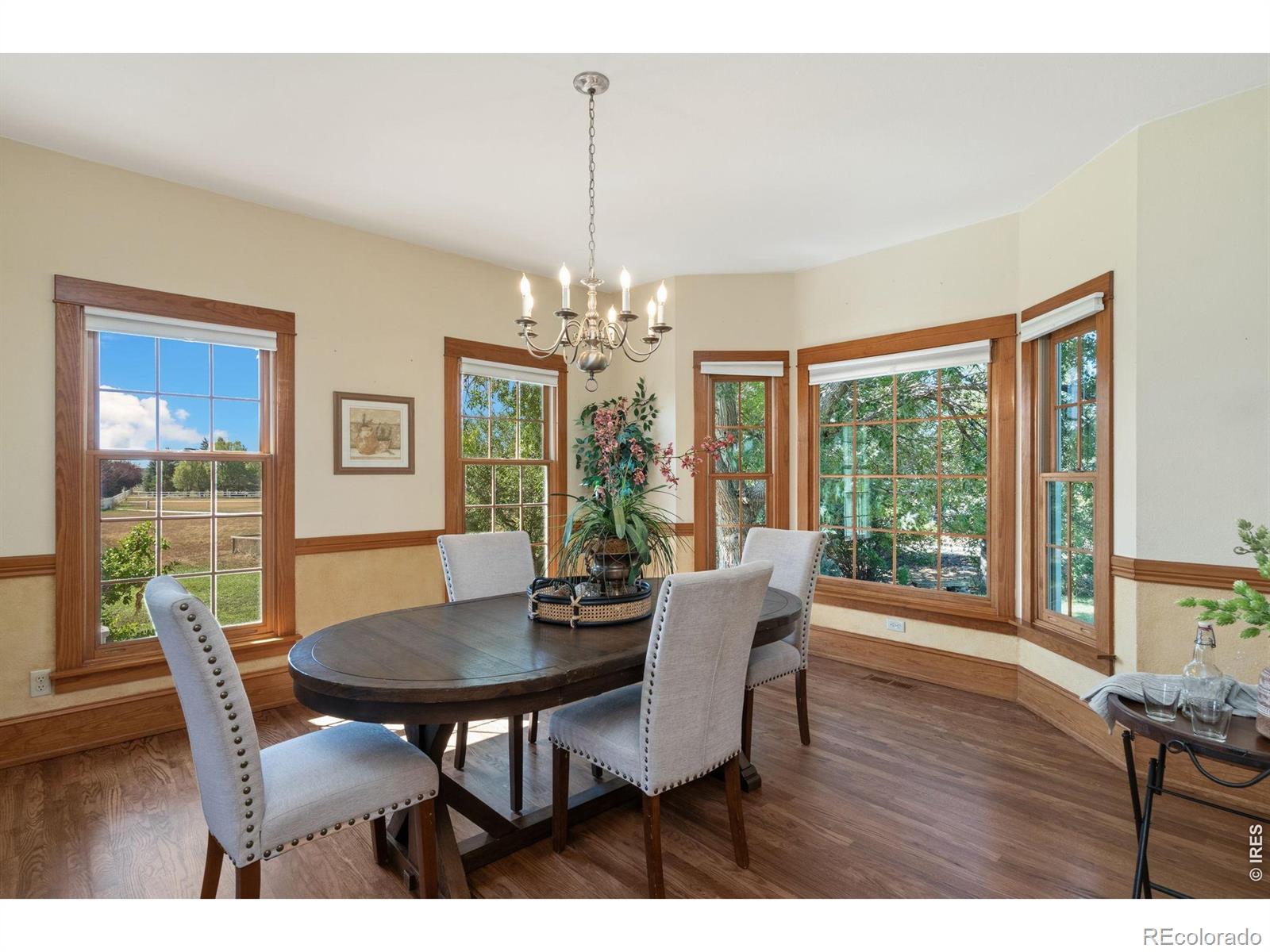 MLS Image #16 for 924  clydesdale lane,windsor, Colorado