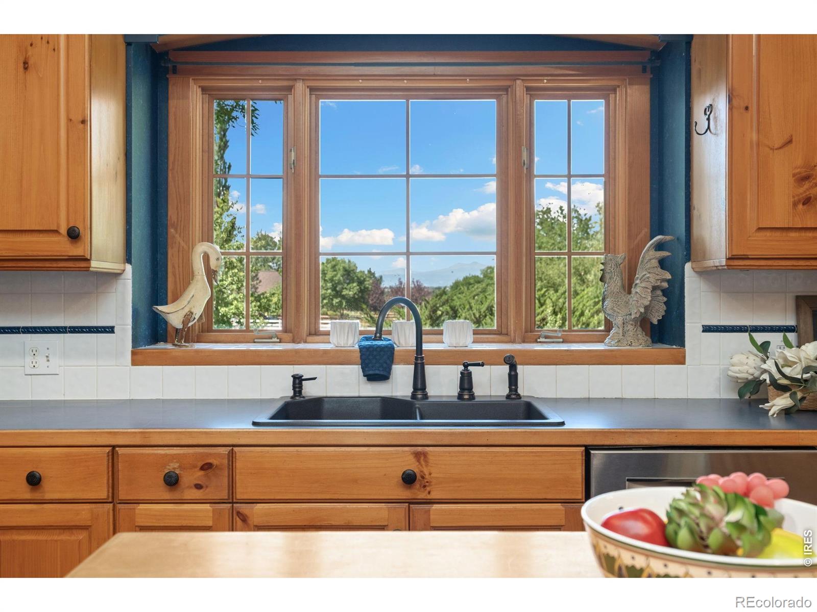 MLS Image #5 for 924  clydesdale lane,windsor, Colorado