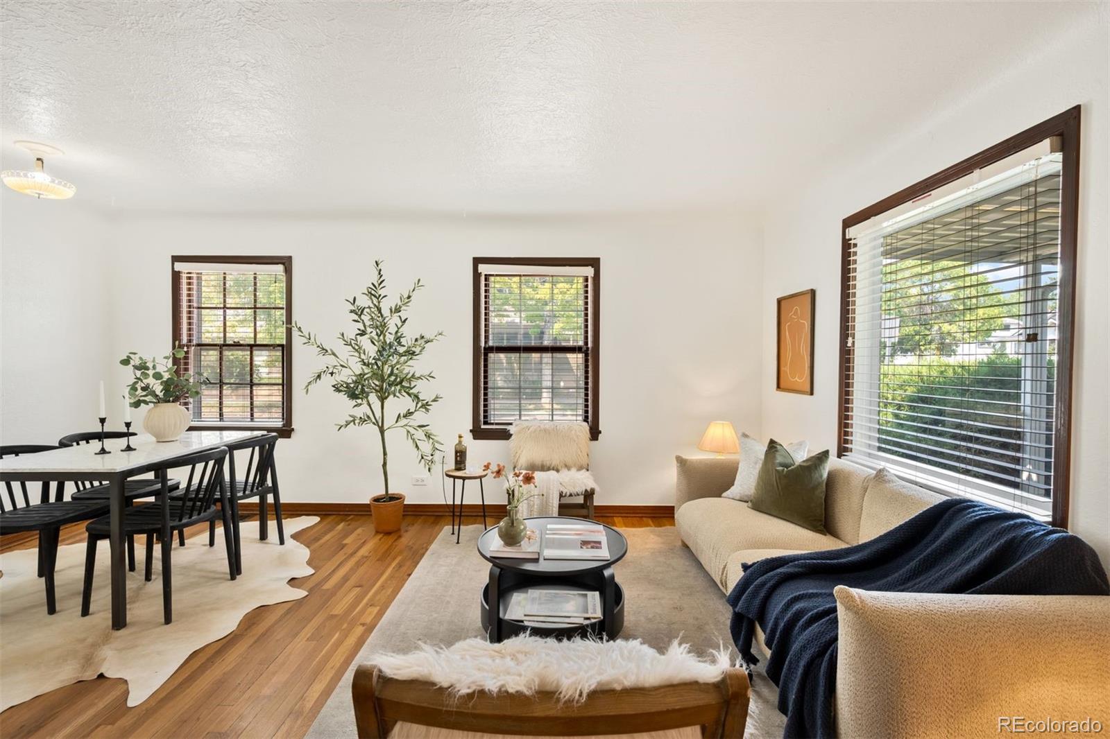 MLS Image #3 for 2201 s franklin street,denver, Colorado