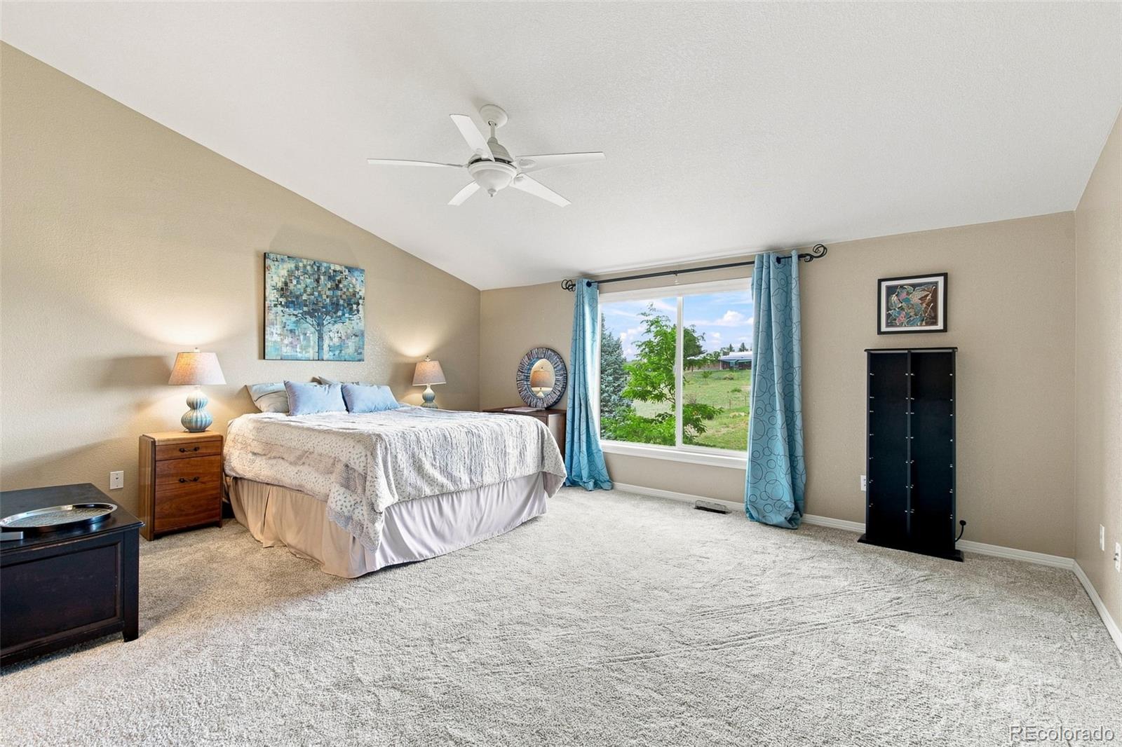 MLS Image #34 for 10338  spruce court,parker, Colorado