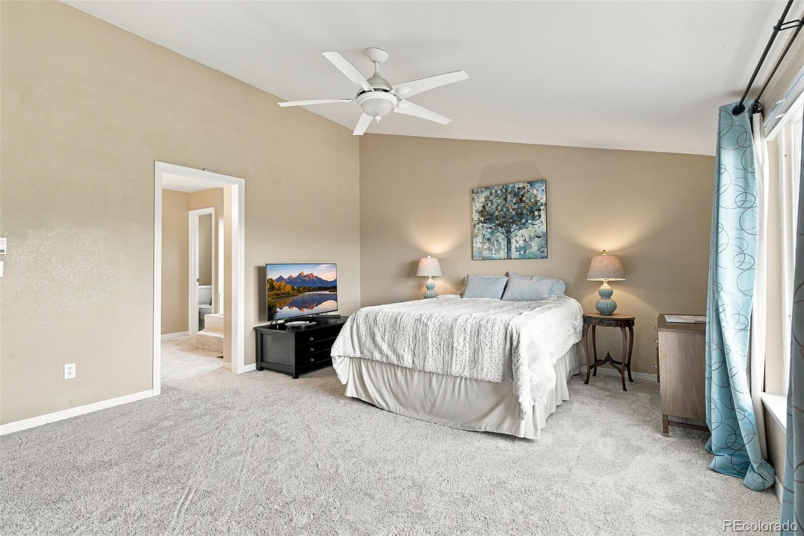 MLS Image #35 for 10338  spruce court,parker, Colorado
