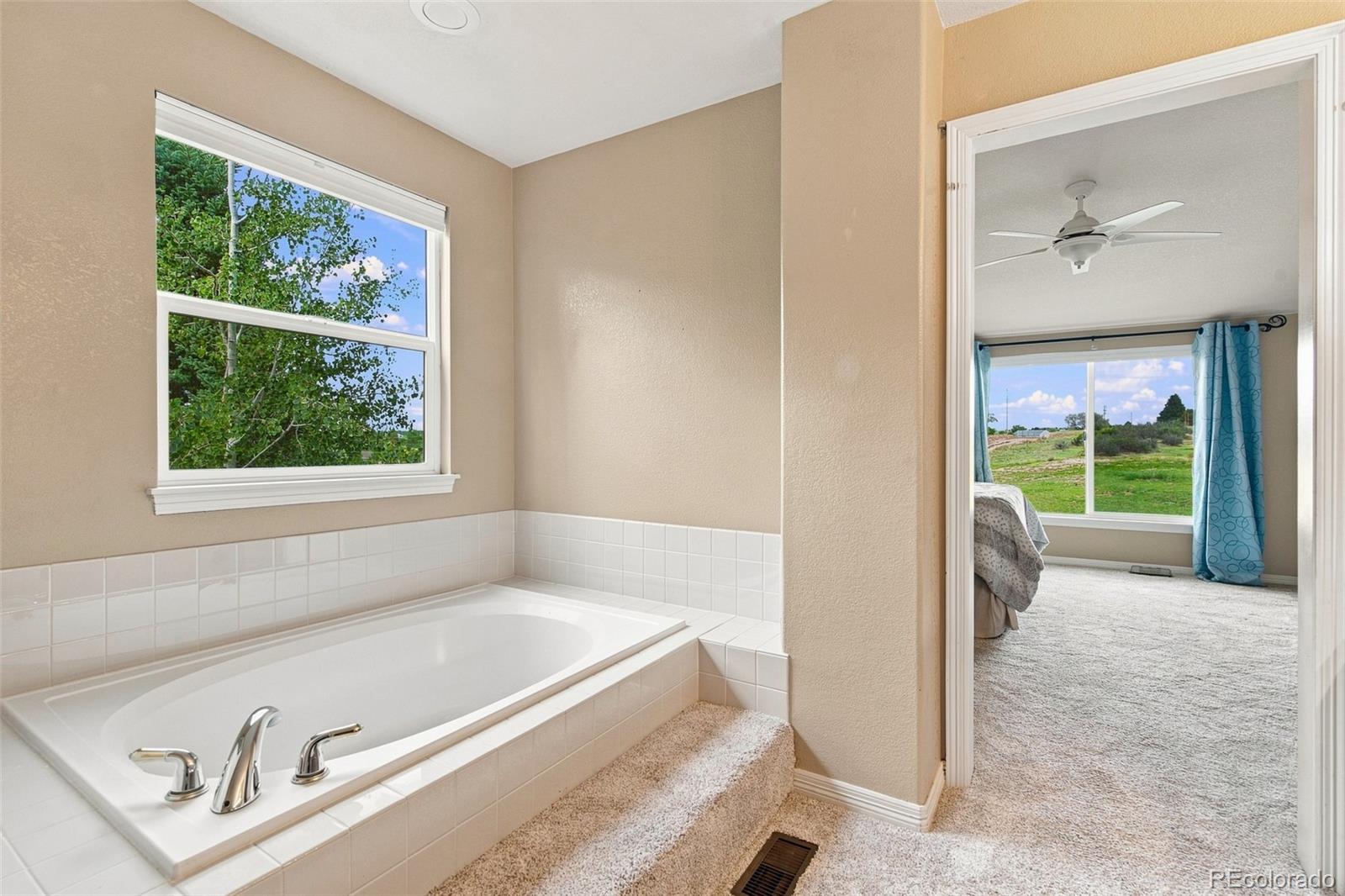 MLS Image #38 for 10338  spruce court,parker, Colorado