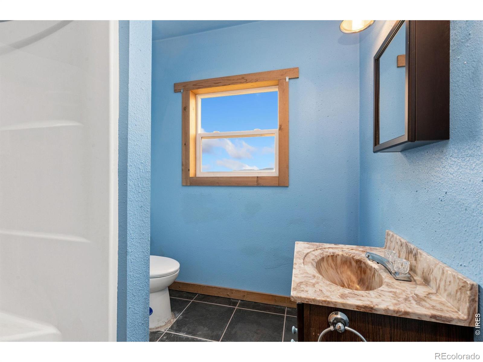 MLS Image #15 for 8266  gray squirrel court,loveland, Colorado