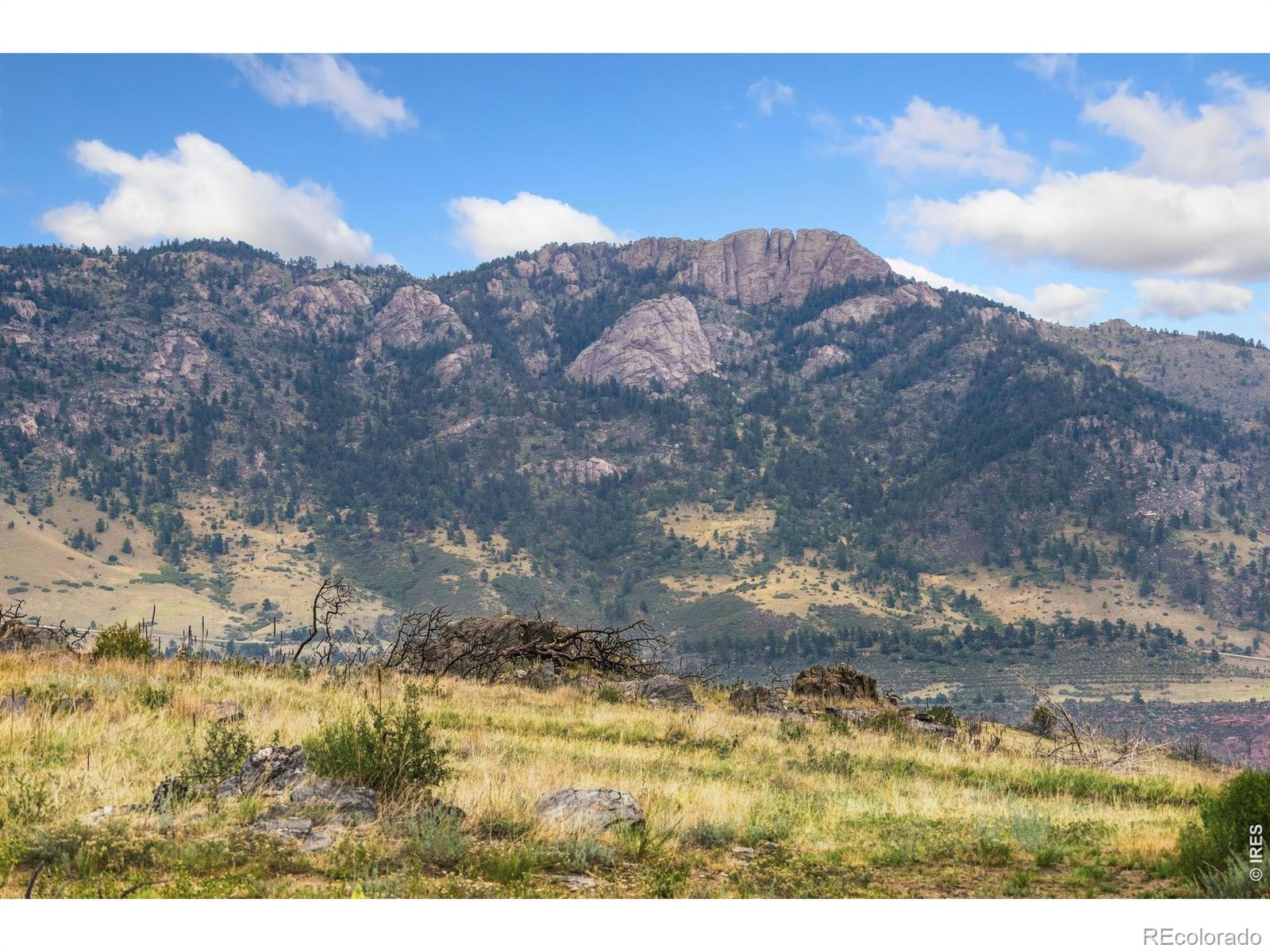 MLS Image #21 for 8266  gray squirrel court,loveland, Colorado