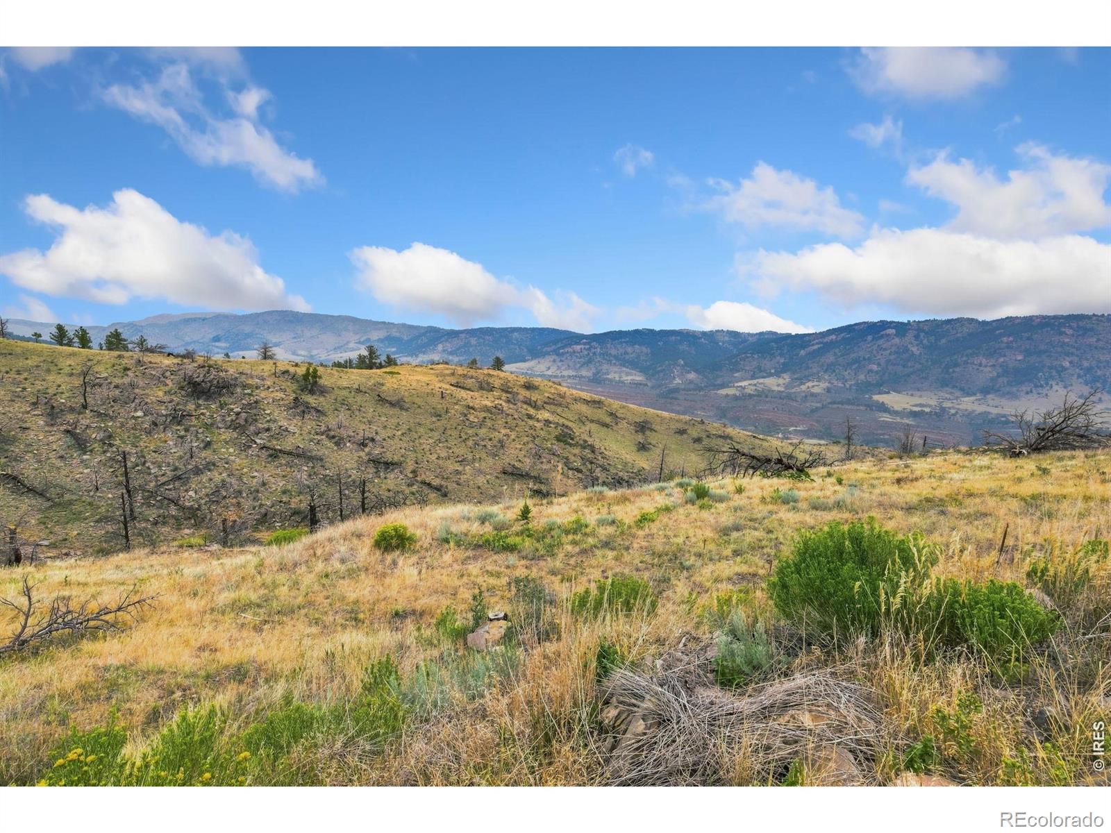 MLS Image #22 for 8266  gray squirrel court,loveland, Colorado