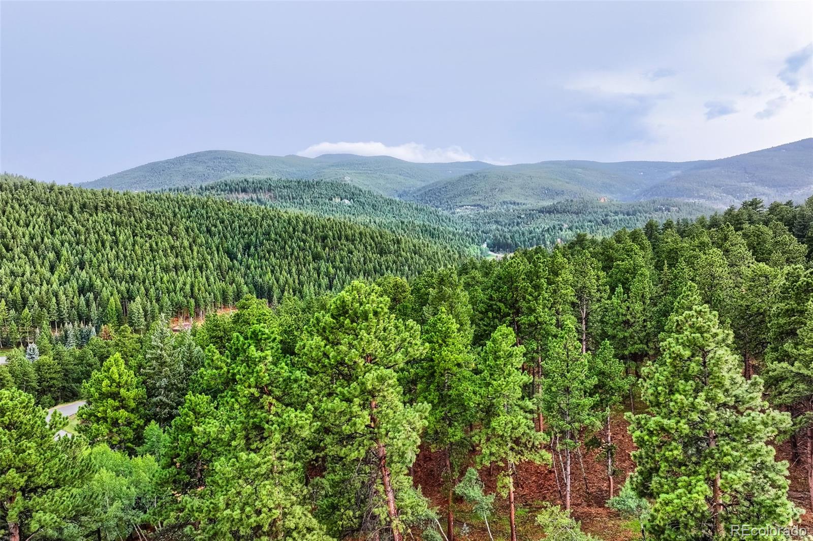 MLS Image #38 for 34066  ranchero road,evergreen, Colorado