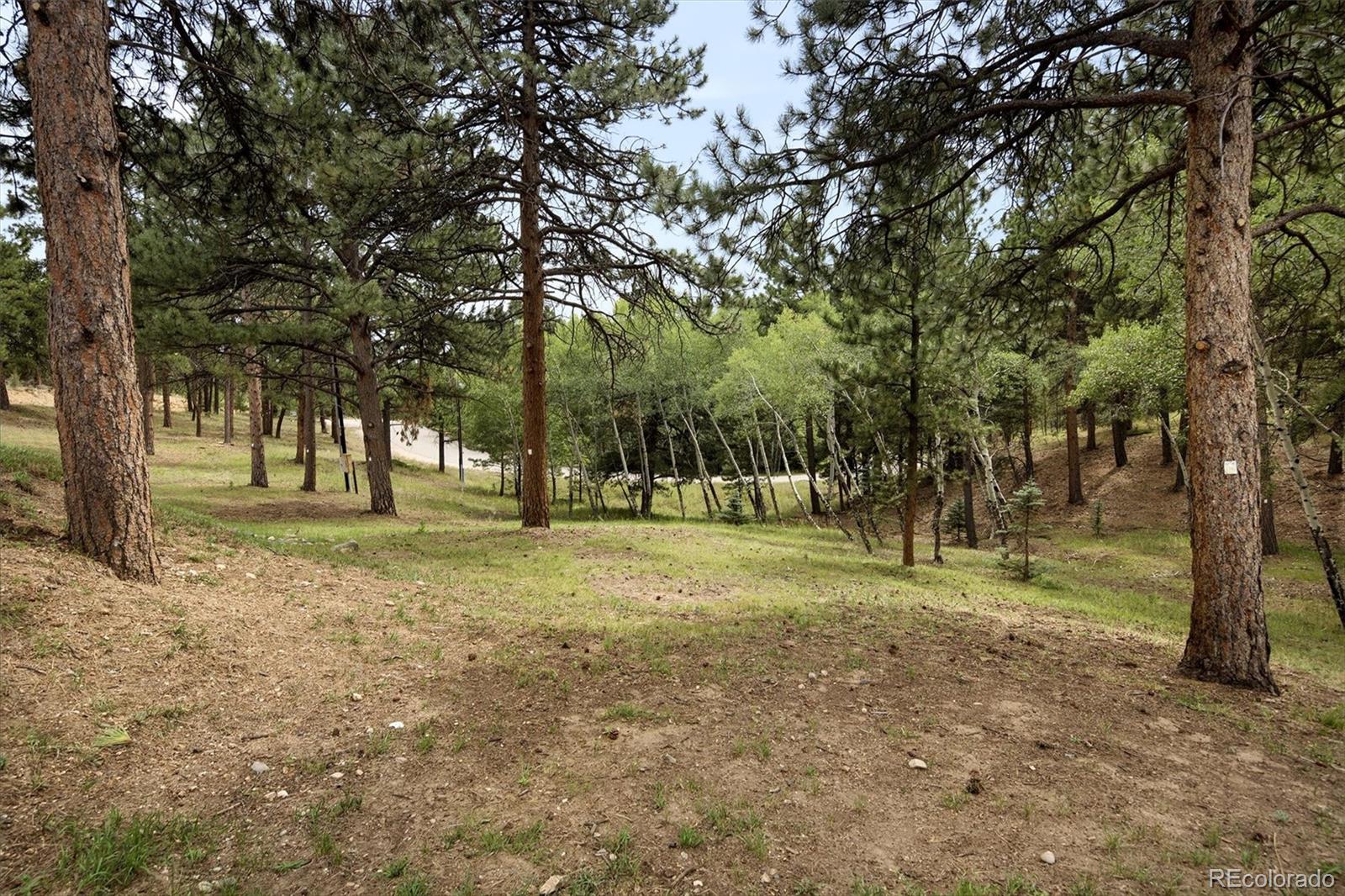MLS Image #41 for 34066  ranchero road,evergreen, Colorado