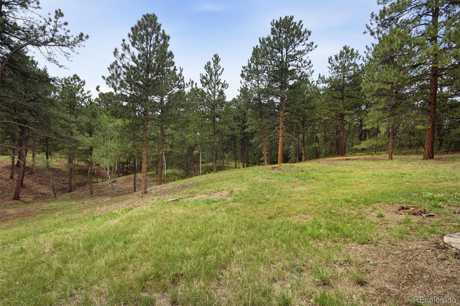 MLS Image #43 for 34066  ranchero road,evergreen, Colorado