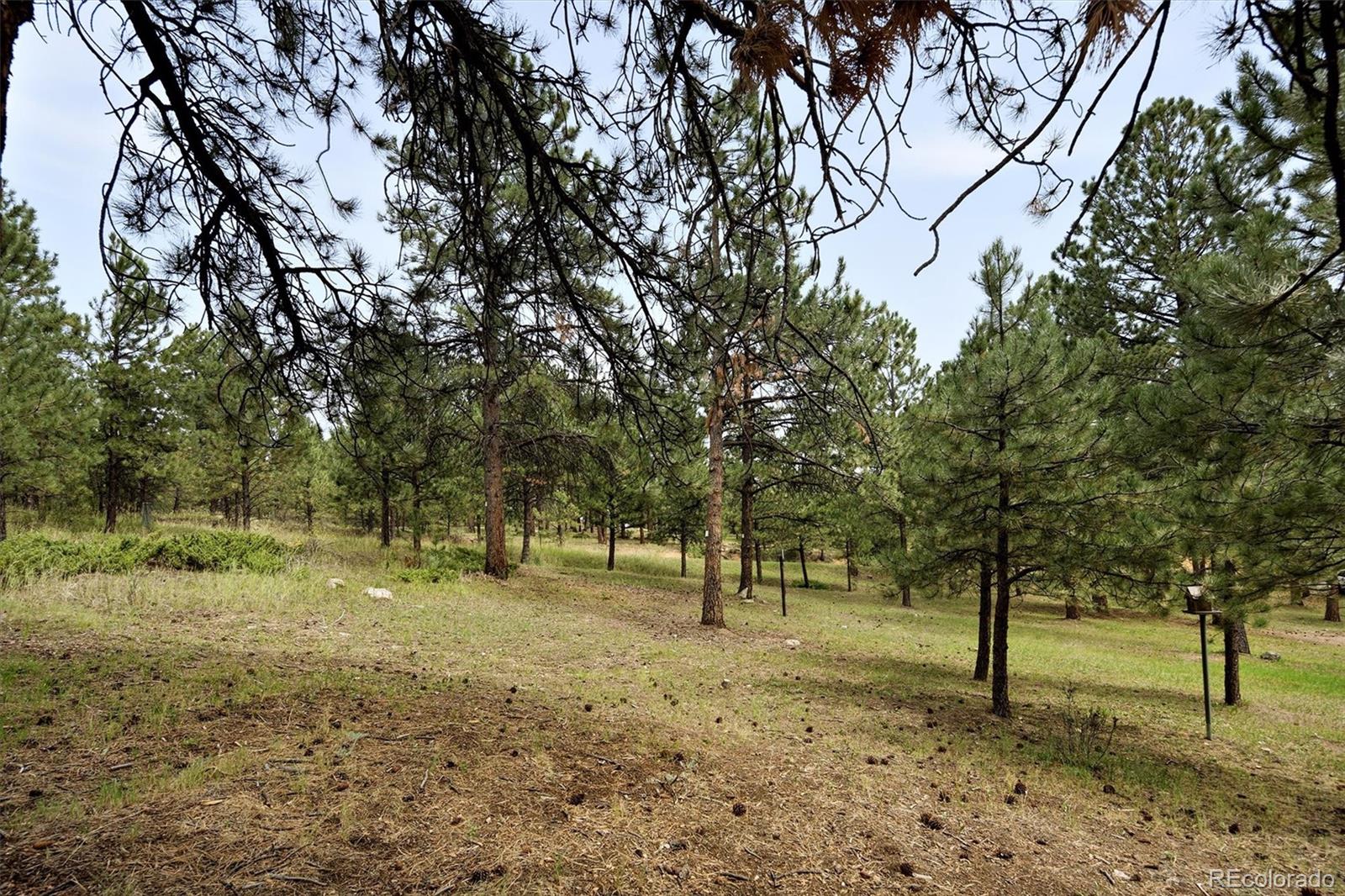 MLS Image #45 for 34066  ranchero road,evergreen, Colorado