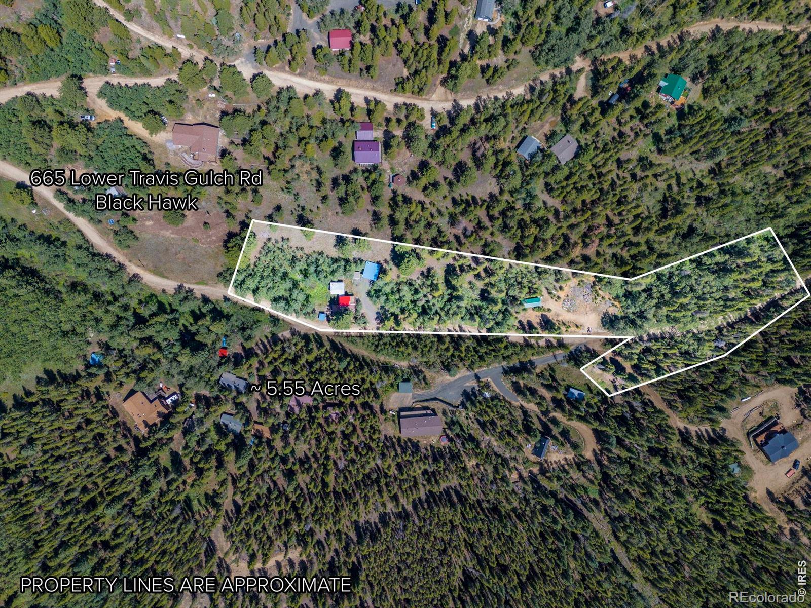 MLS Image #4 for 665  lower travis gulch road,black hawk, Colorado