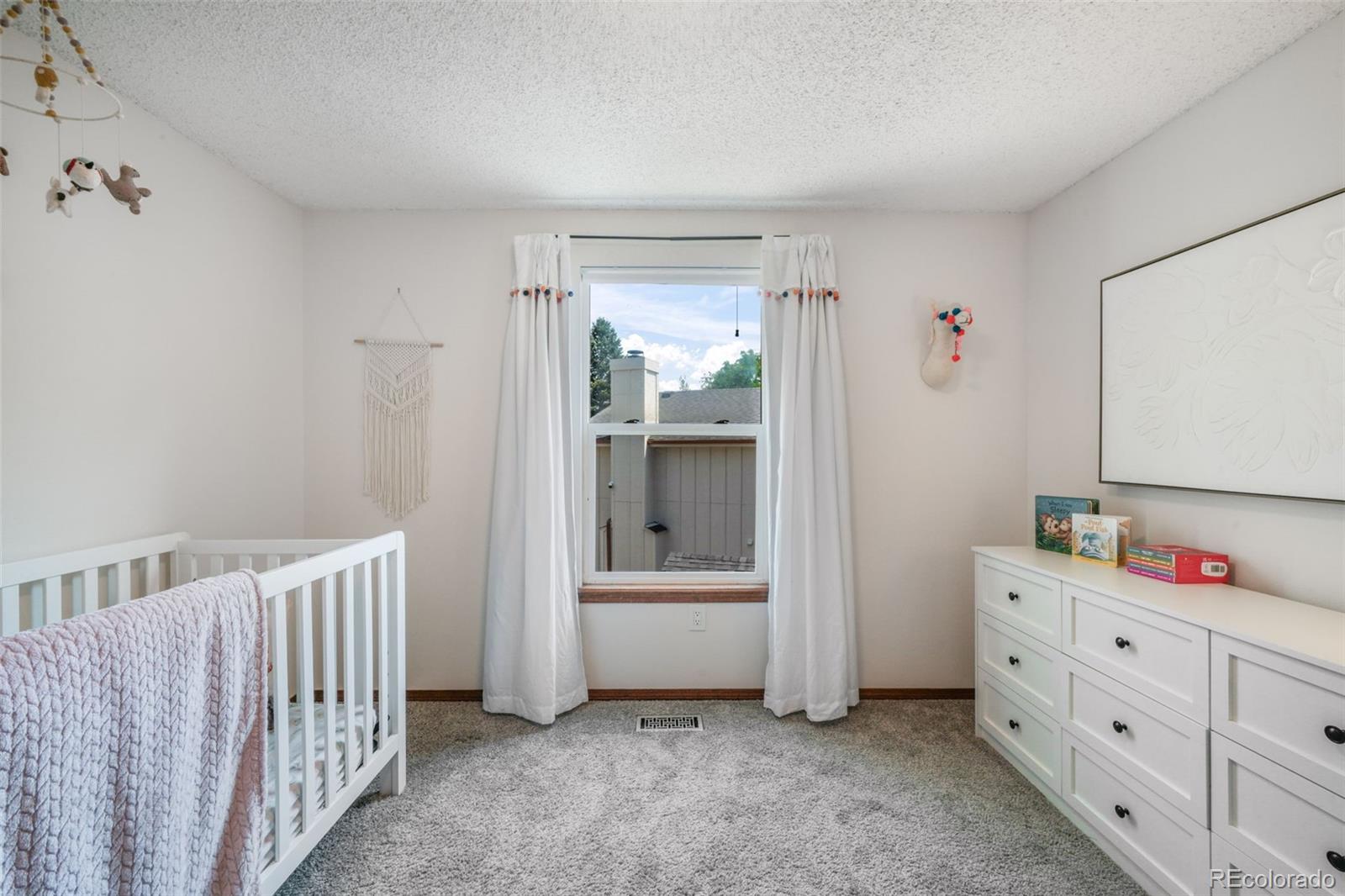 MLS Image #31 for 7925  contrails drive,colorado springs, Colorado