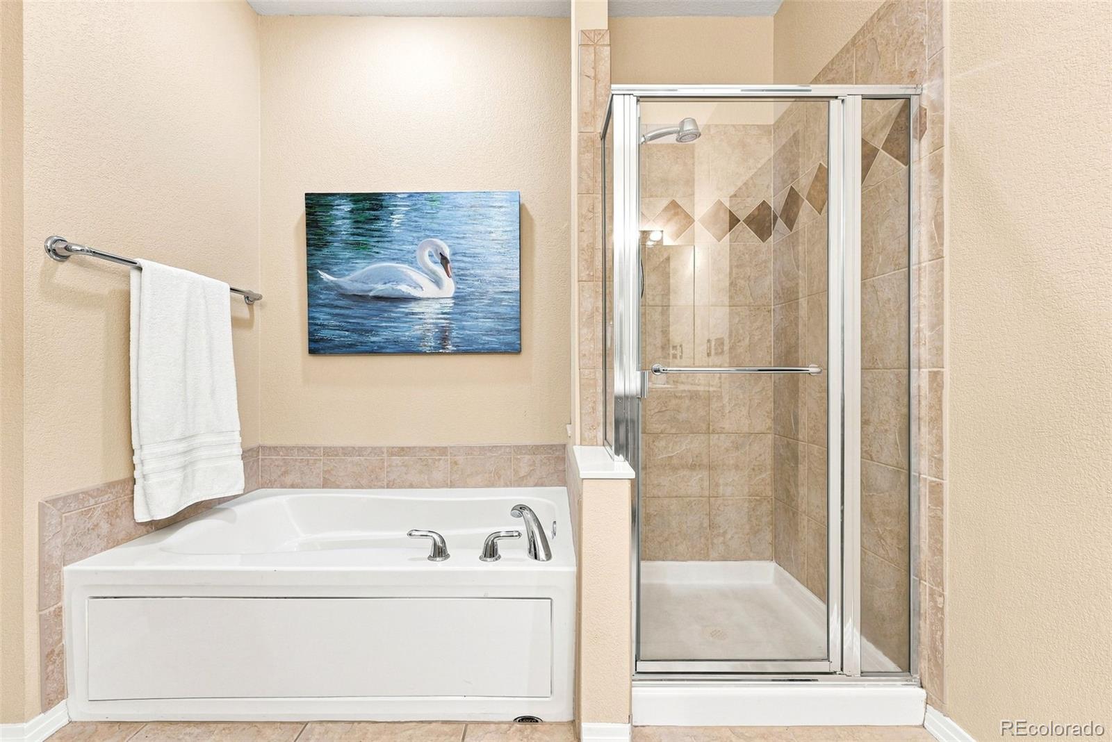 MLS Image #20 for 4123  da vinci drive,longmont, Colorado
