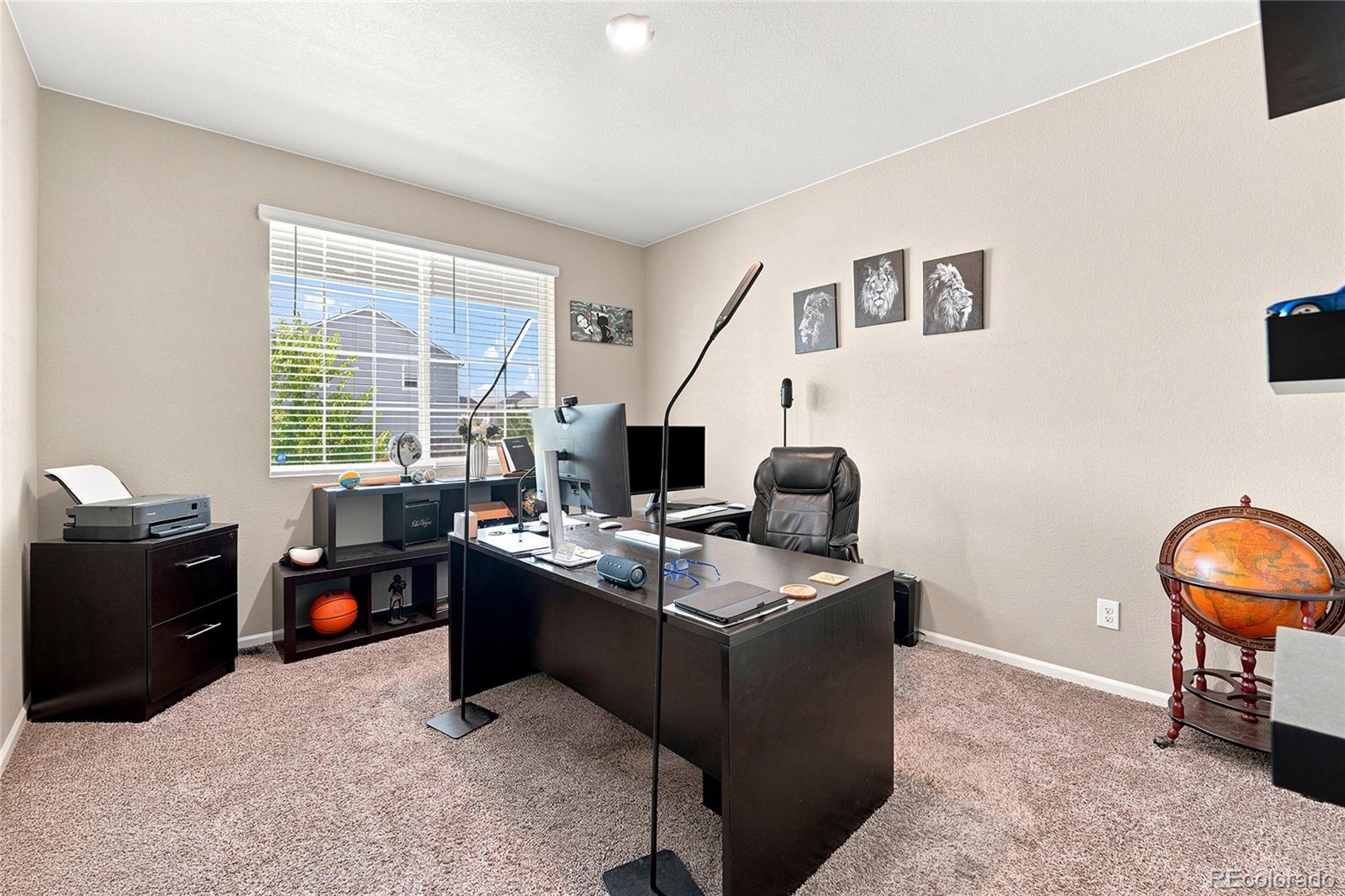 MLS Image #24 for 20051 e 61st place,aurora, Colorado