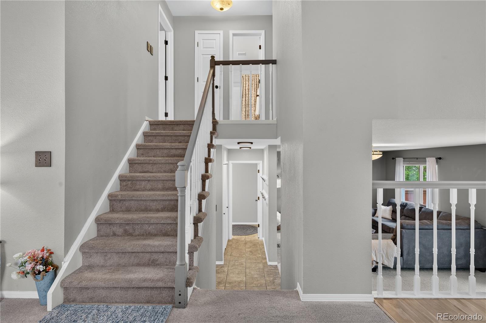 MLS Image #11 for 7231  palisade drive,littleton, Colorado