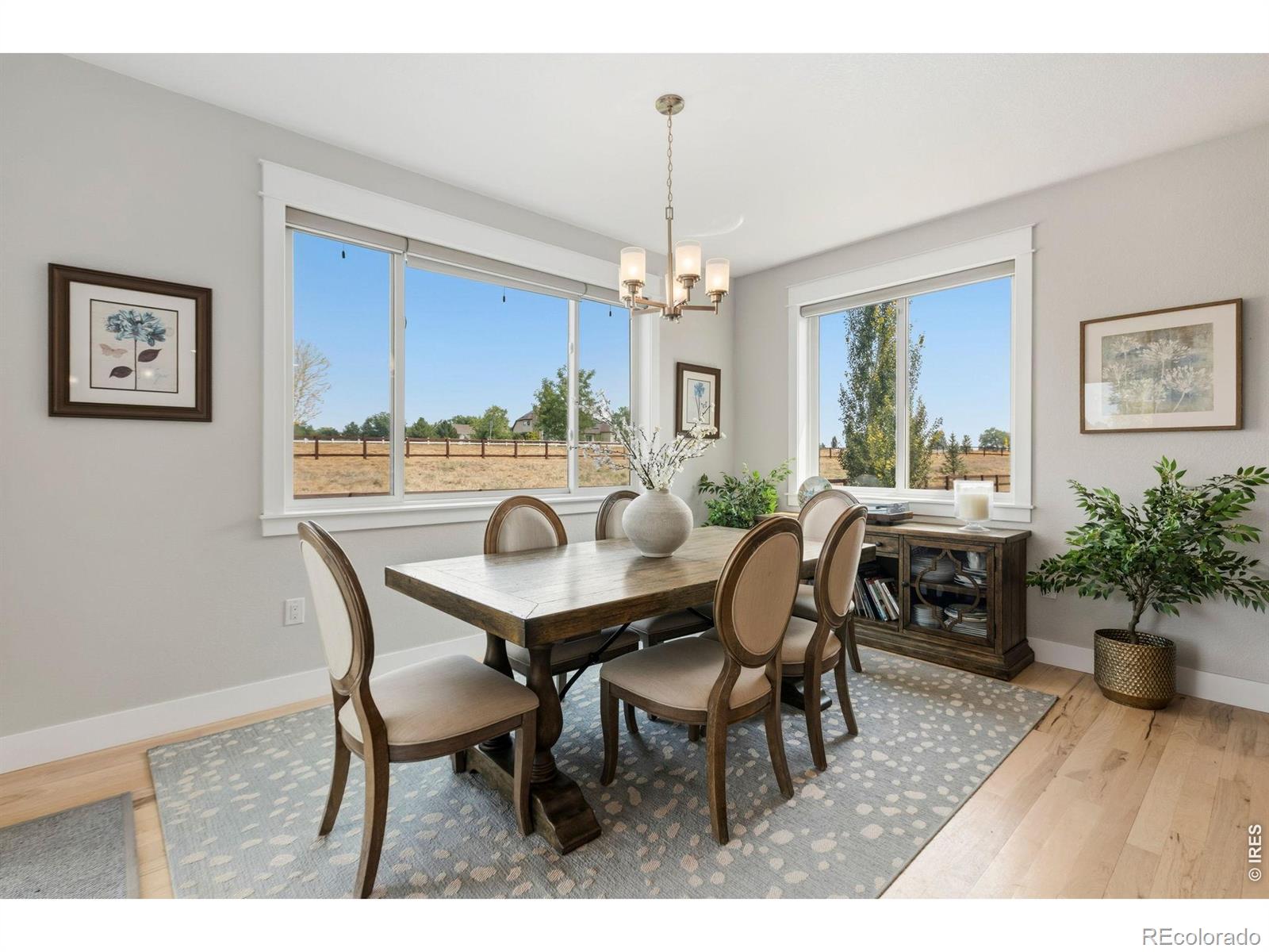 MLS Image #13 for 969  pitch fork drive,windsor, Colorado