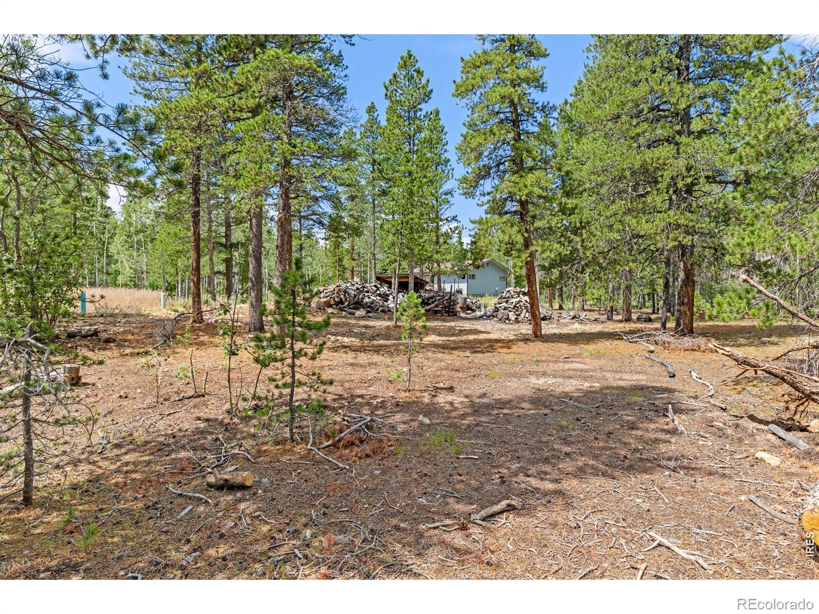MLS Image #31 for 20  paint brush drive,black hawk, Colorado