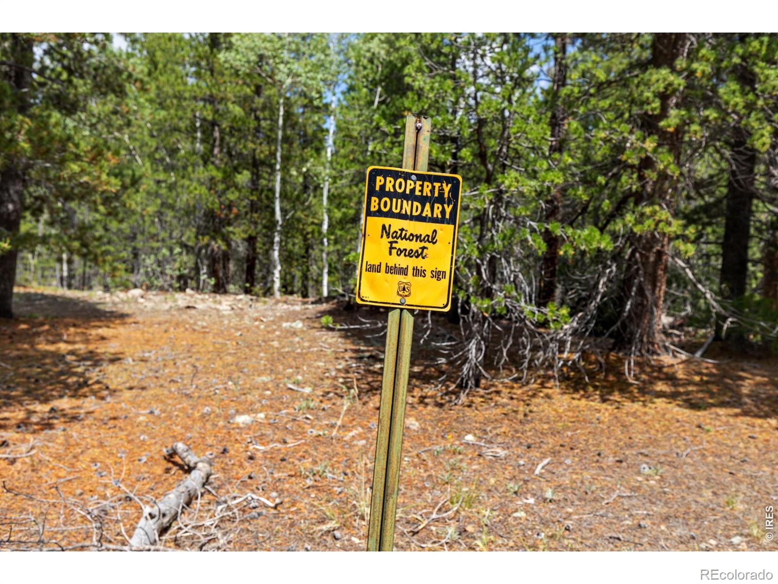 MLS Image #5 for 20  paint brush drive,black hawk, Colorado