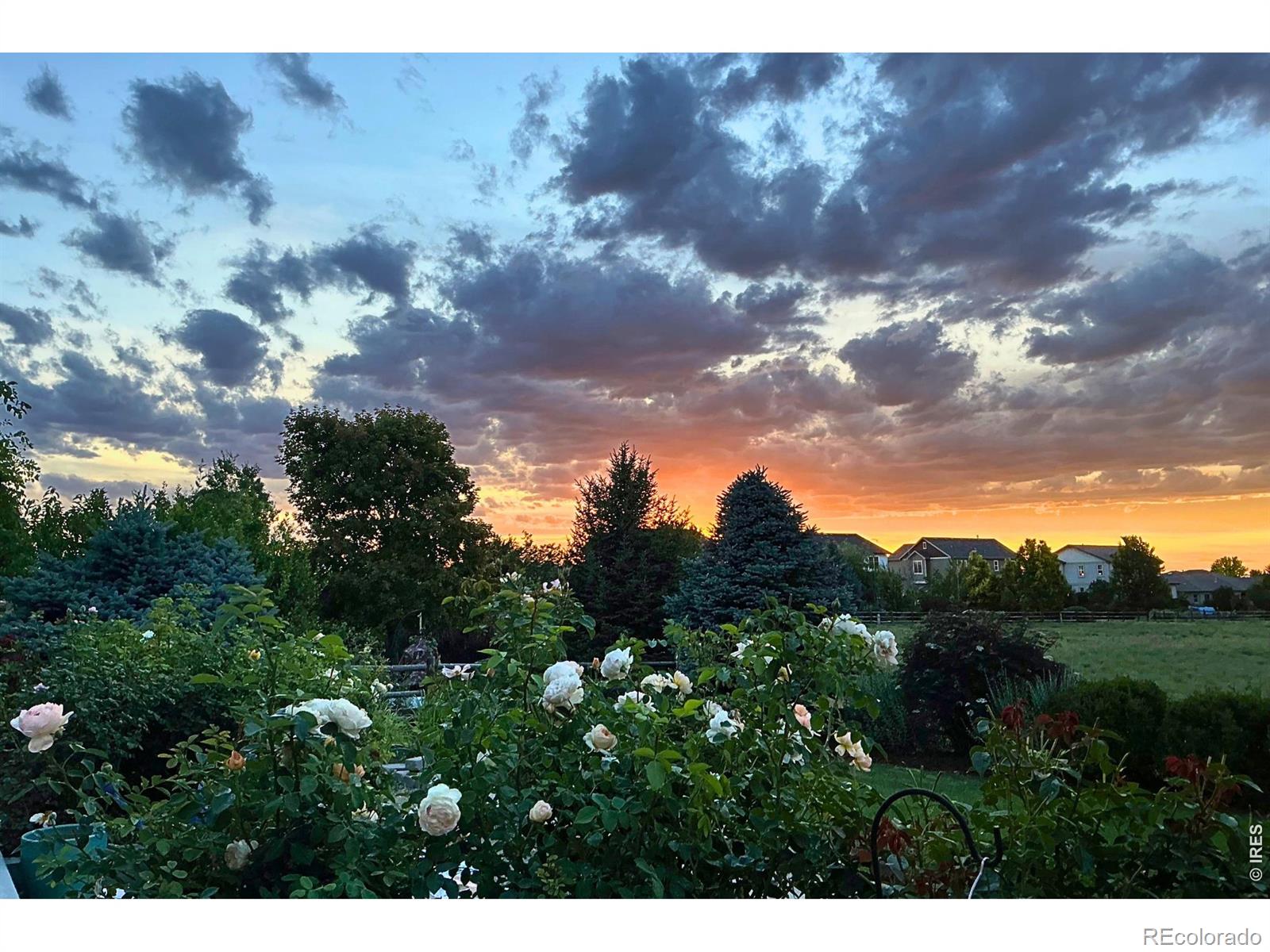 MLS Image #39 for 8270  cherry blossom drive,windsor, Colorado
