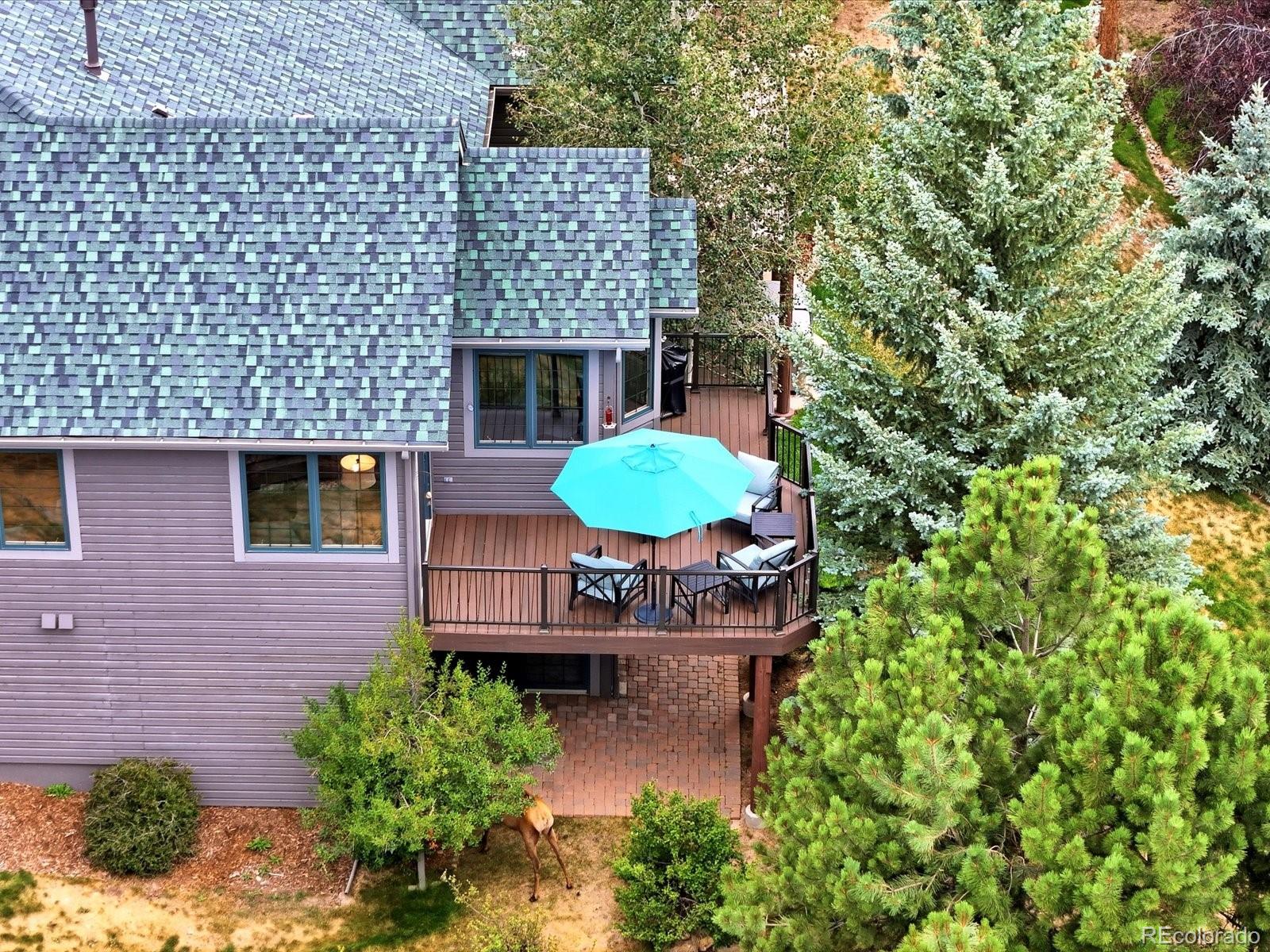 MLS Image #32 for 31109  tahoe court,evergreen, Colorado