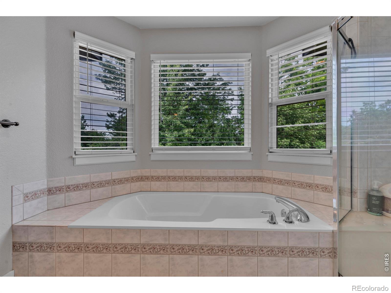 MLS Image #5 for 3739  florentine circle,longmont, Colorado