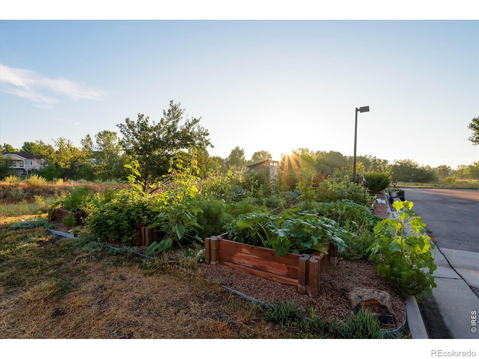MLS Image #30 for 5620  fossil creek parkway,fort collins, Colorado