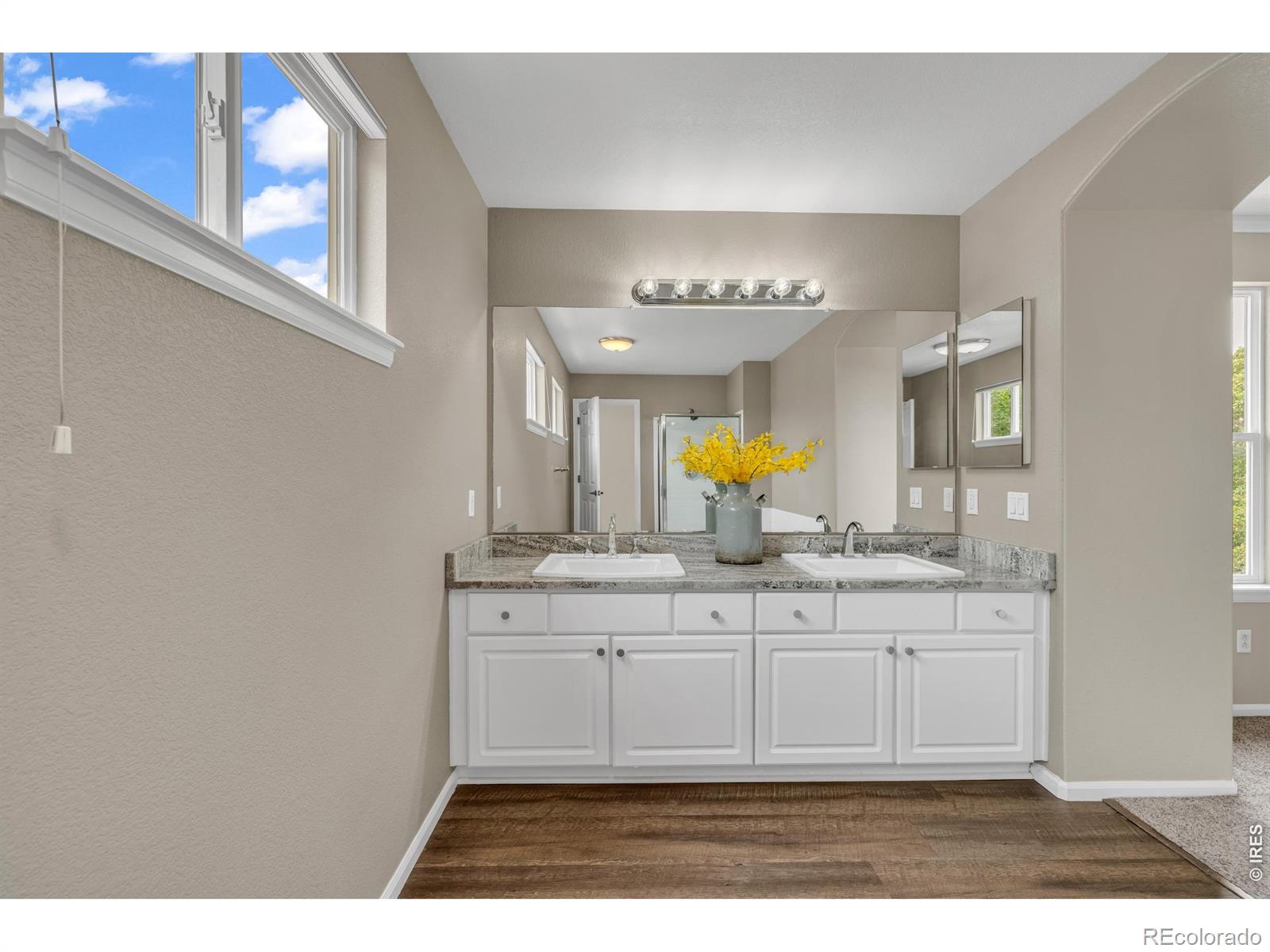 MLS Image #16 for 6809  tiger walk,littleton, Colorado