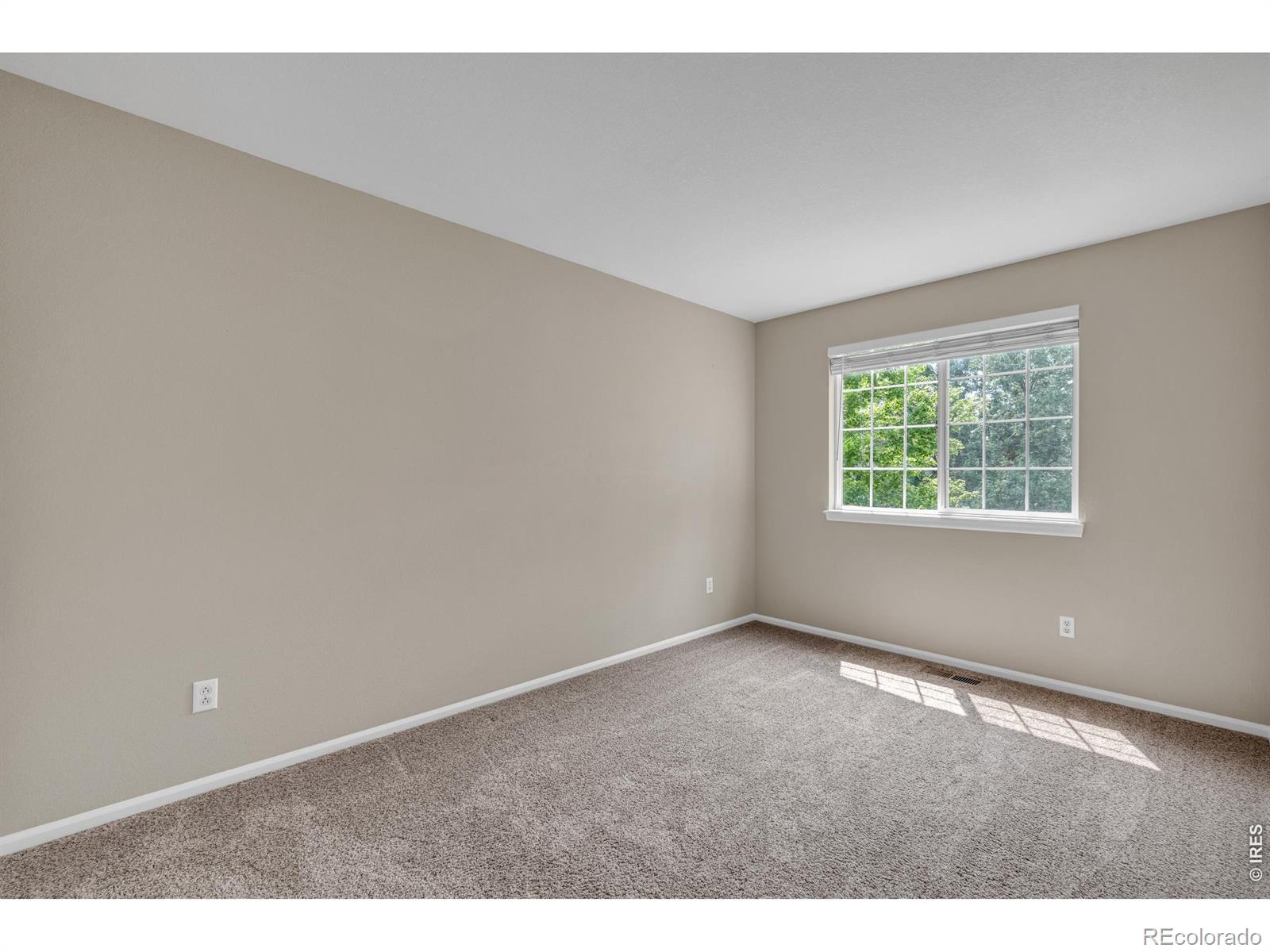 MLS Image #18 for 6809  tiger walk,littleton, Colorado