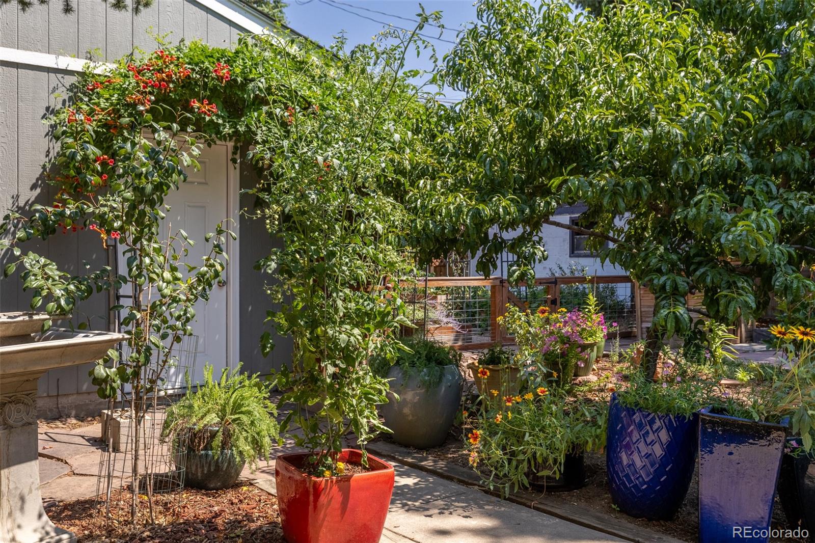 MLS Image #12 for 1490 s lincoln street,denver, Colorado