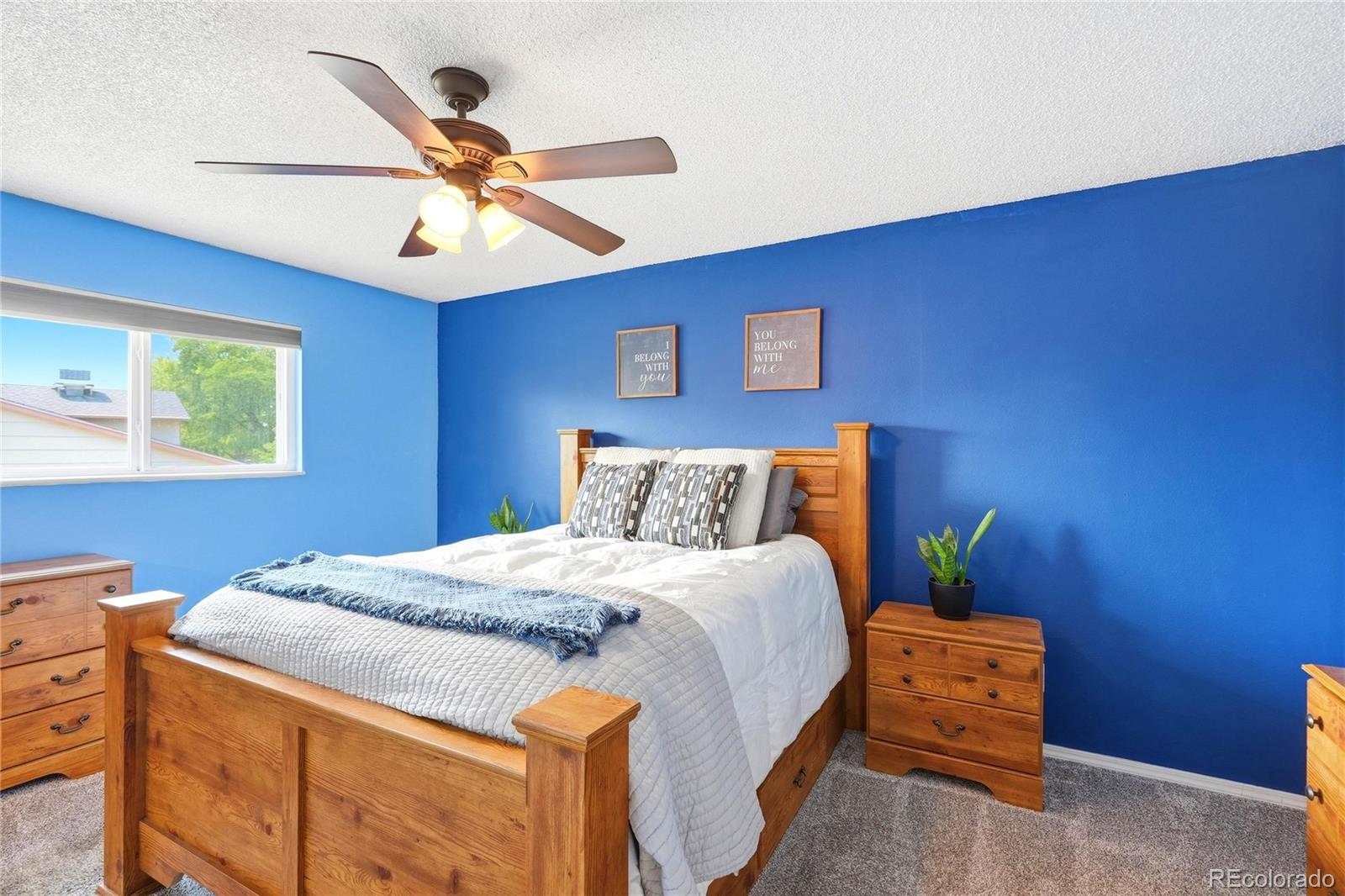 MLS Image #12 for 10029  alcott street,denver, Colorado