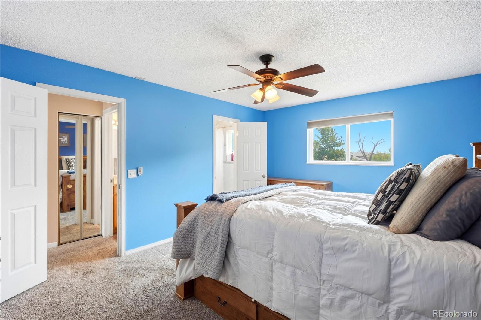 MLS Image #13 for 10029  alcott street,denver, Colorado
