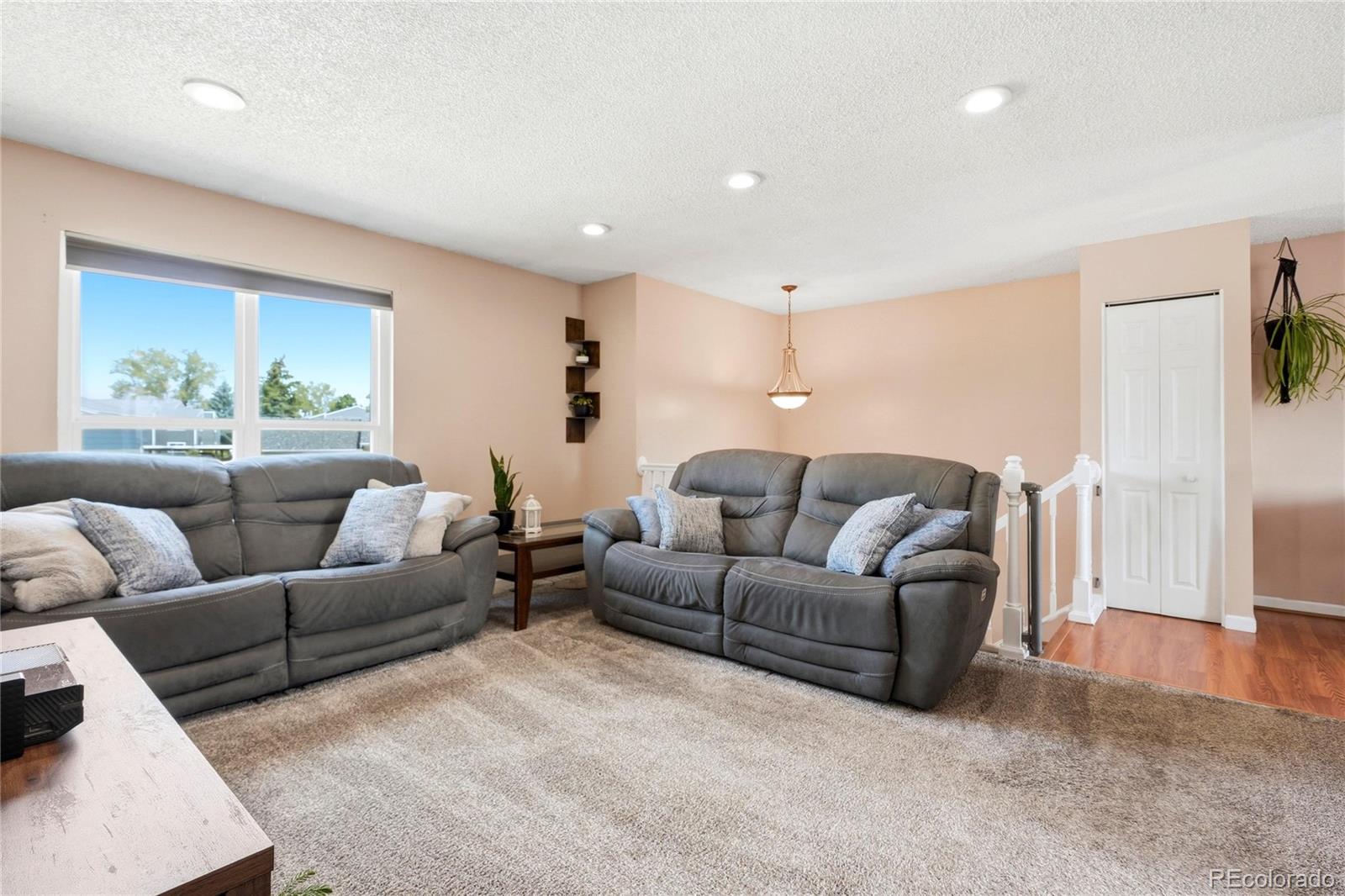 MLS Image #3 for 10029  alcott street,denver, Colorado